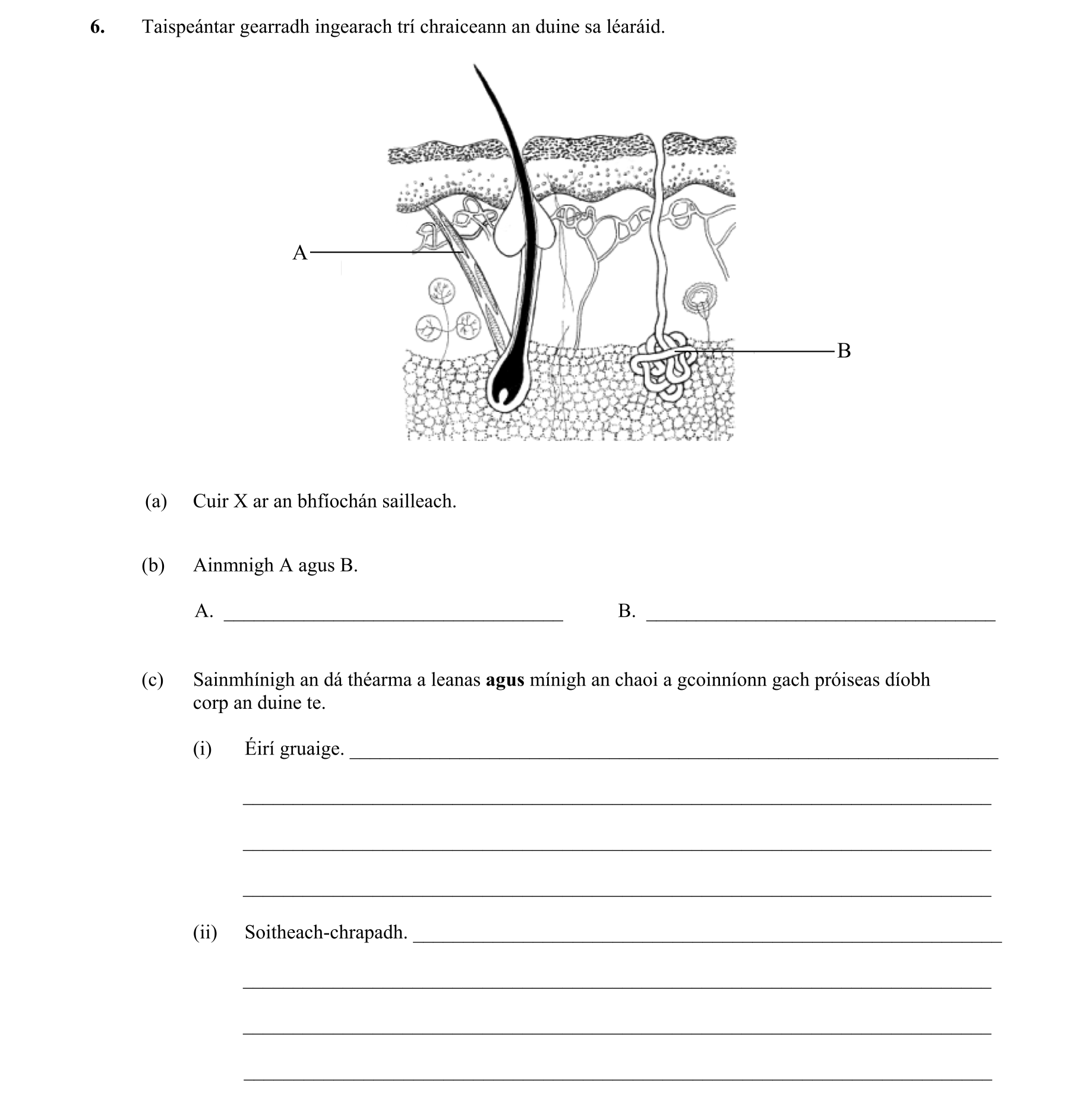 Question 6417f0d7-f235-4823-b789-0807fa21d278