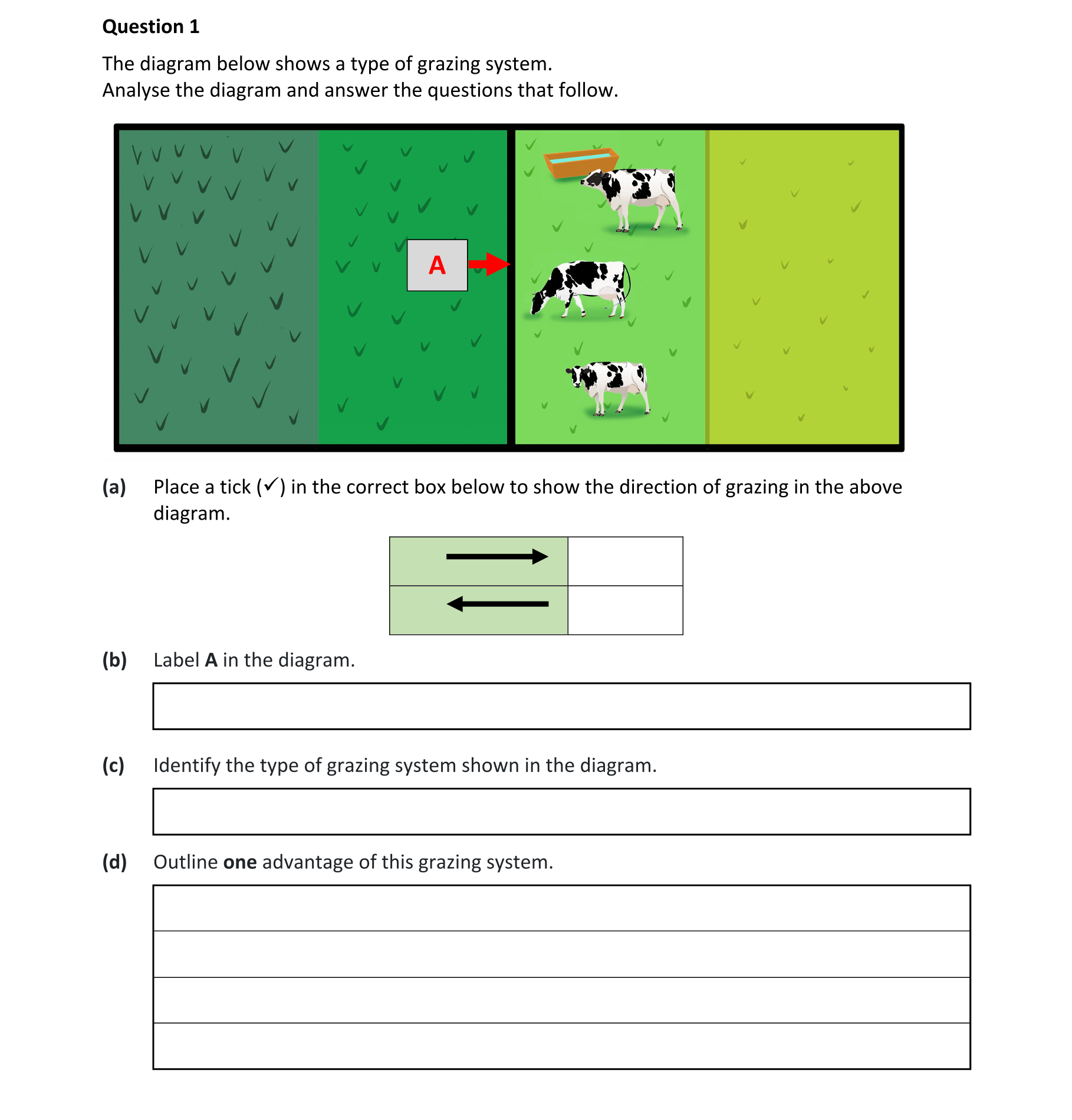 Question 79db50b6-5b2d-4aa1-a439-6f6d305e03d2