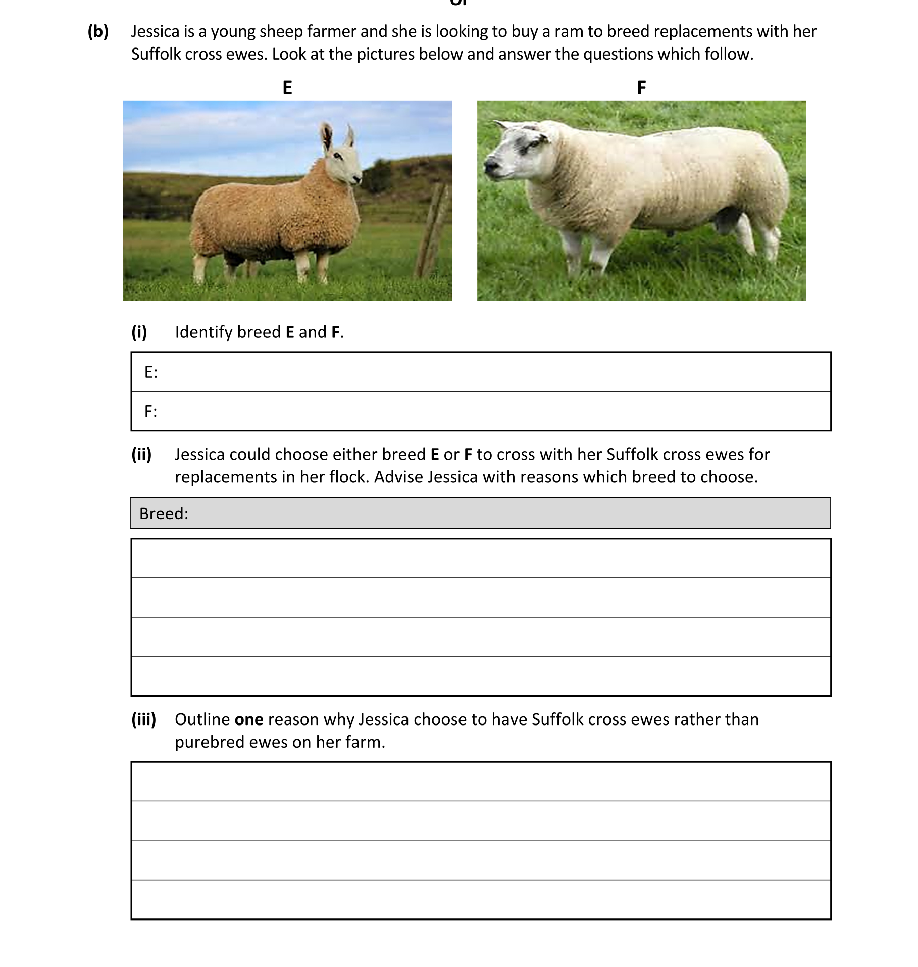 Question efec4329-98e3-42c0-bfa1-7328a88dcb39