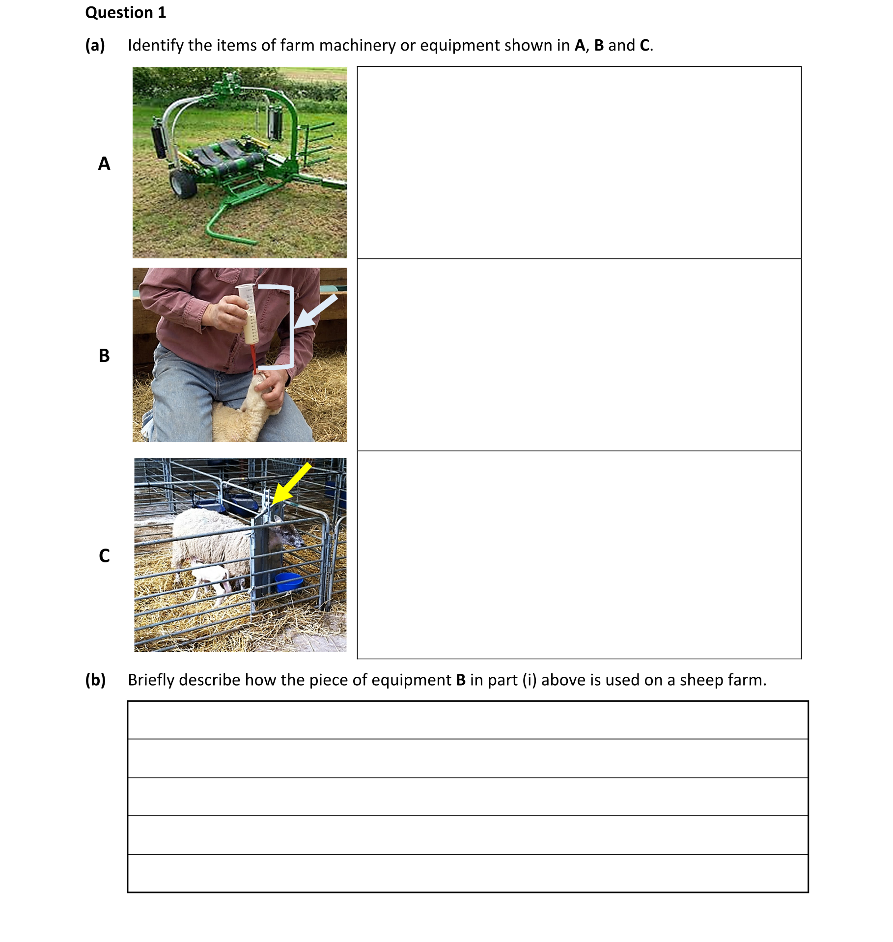 Question bd6ff36d-69c2-4ebe-8a79-2a056014e38b