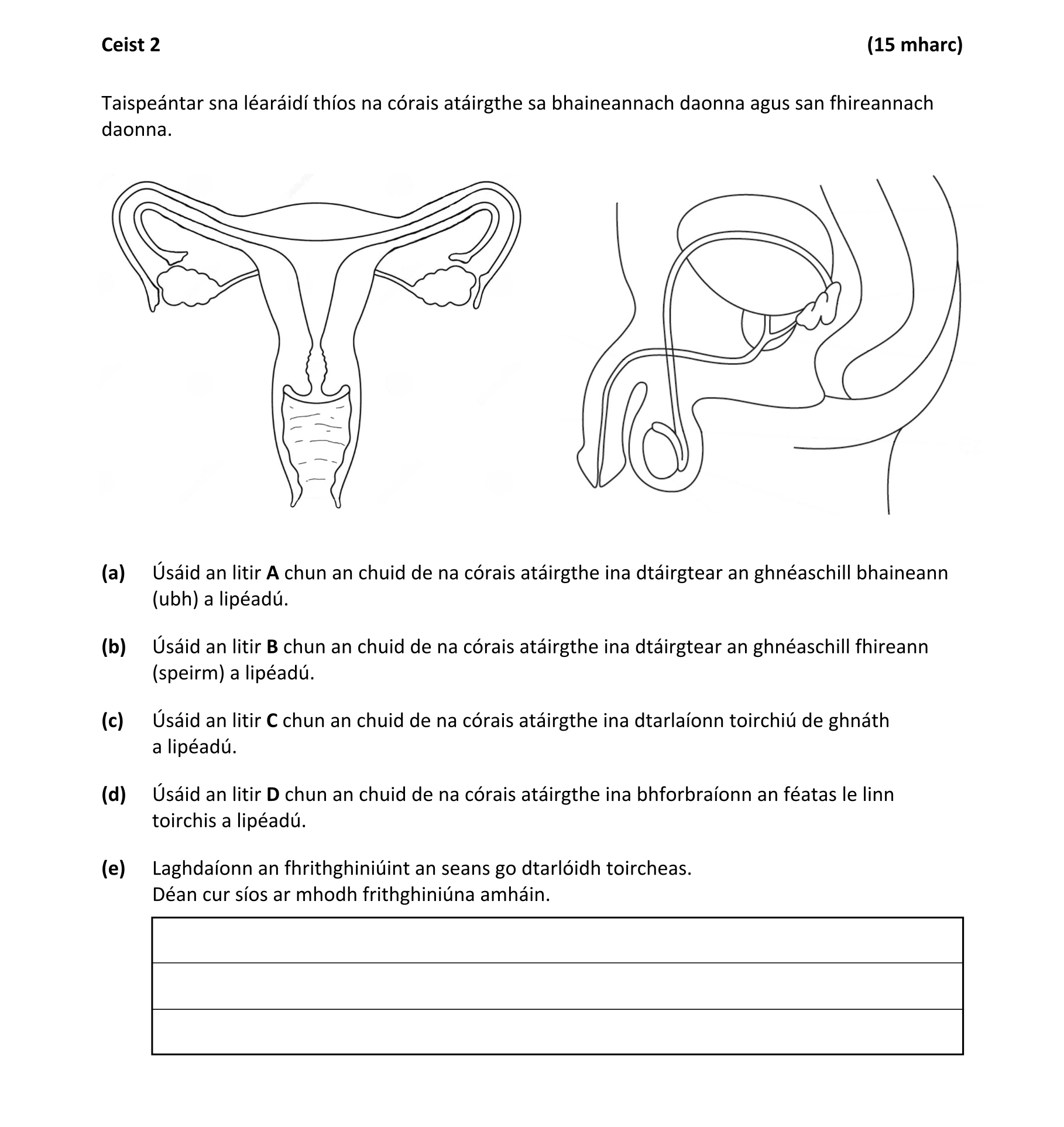 Question 2aaa1c6a-848c-4d31-8565-adaa9e170f45