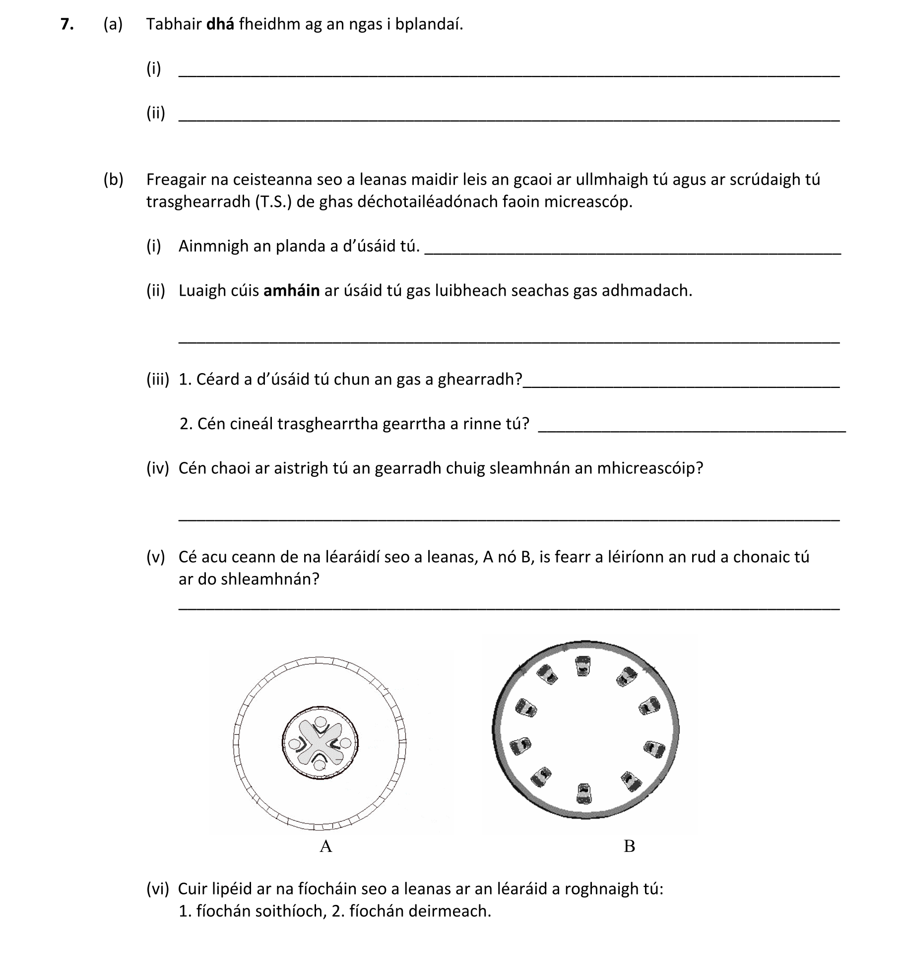 Question 6c0c587f-0de3-4989-b35d-027025dd6be8