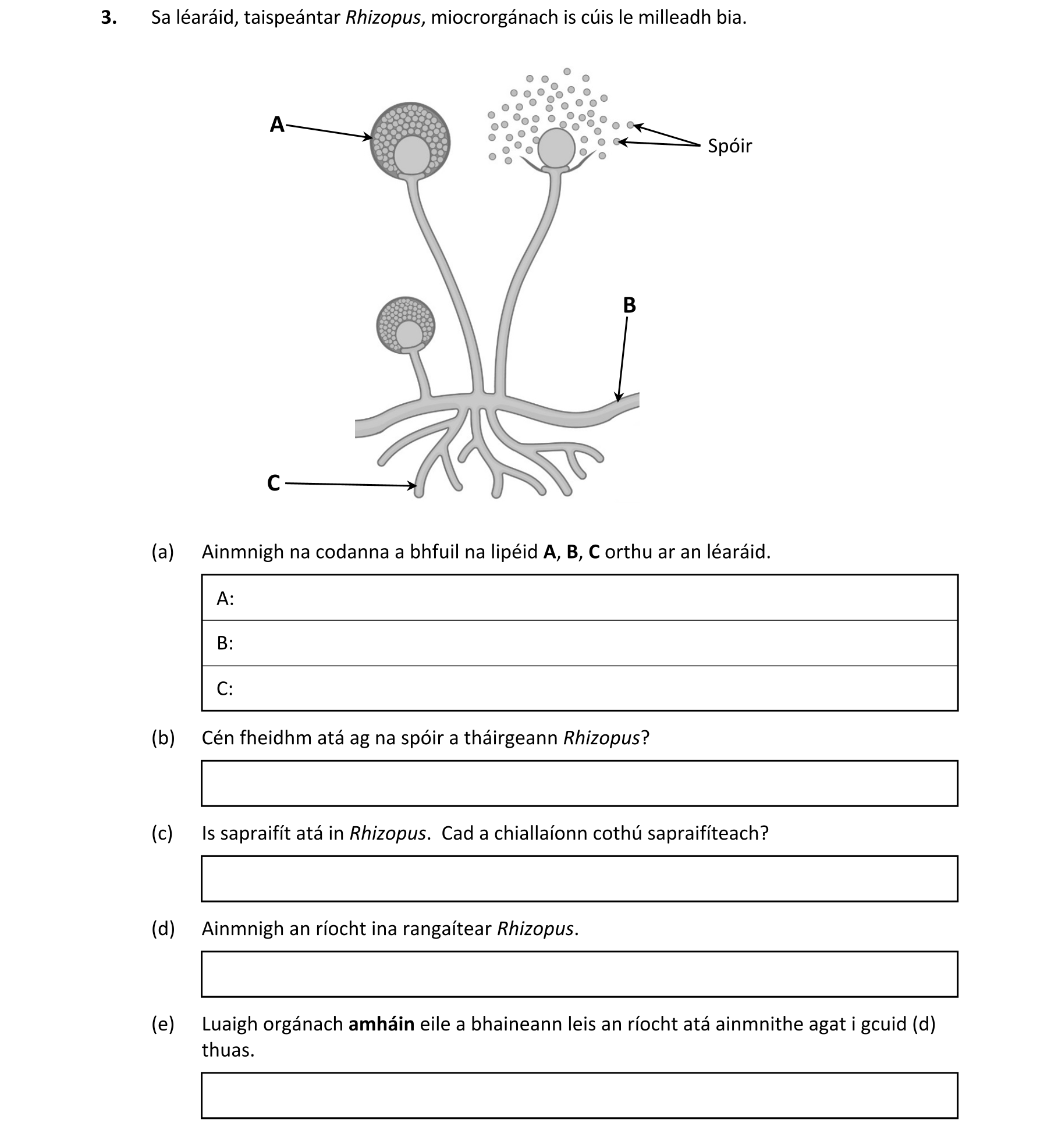 Question bb085a4e-cbaf-41f7-8e66-07328c8d1c32