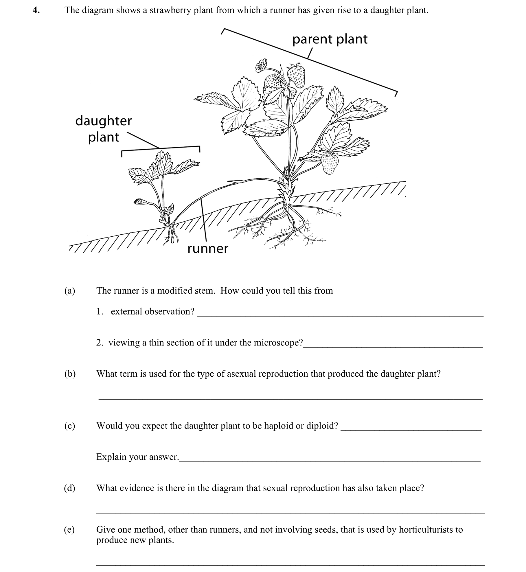 Question e72376bc-a705-4193-988c-b4fcc08fbfa7