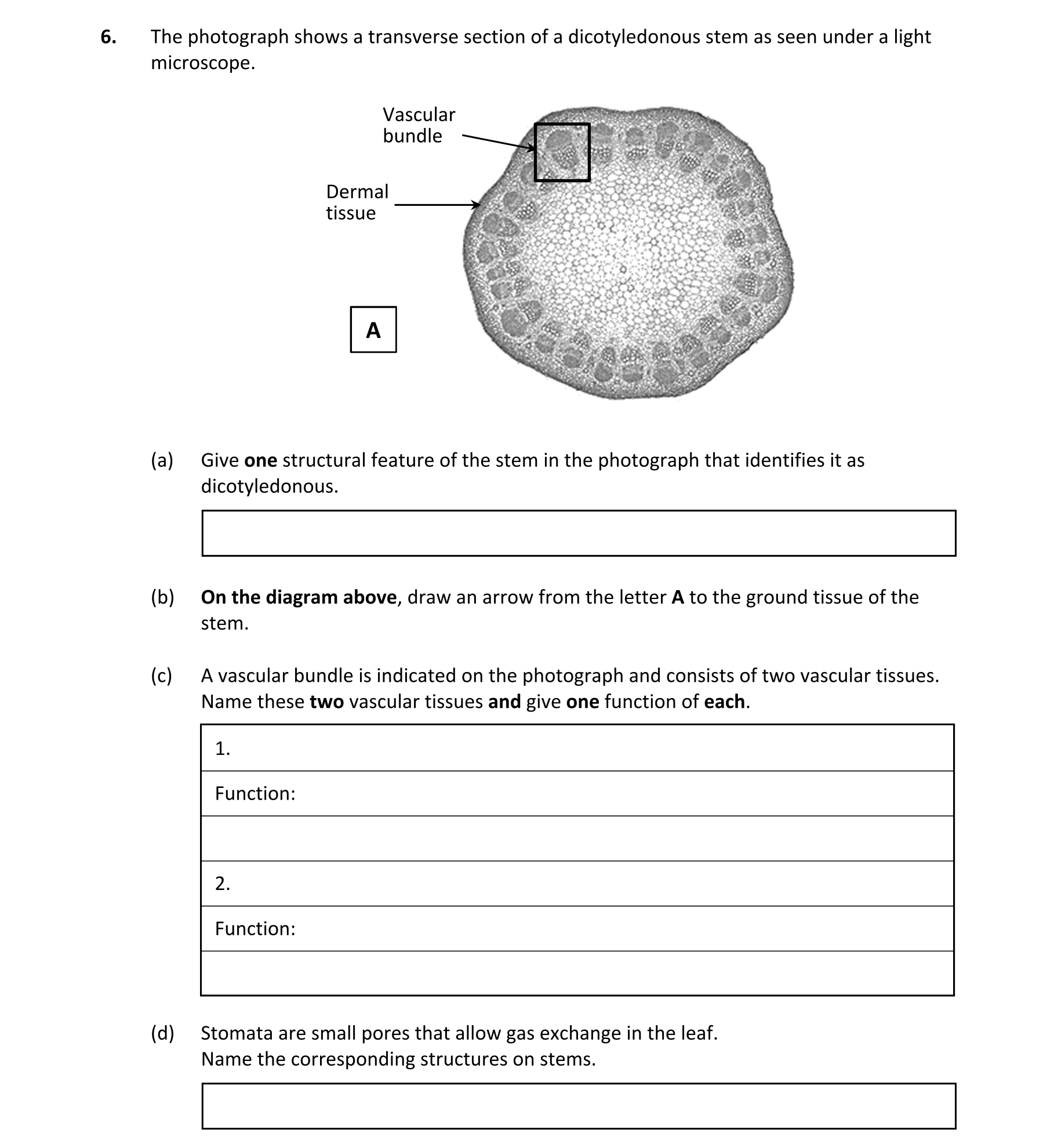 Question 4d4fa18a-a967-494e-a303-40929ff3d86a