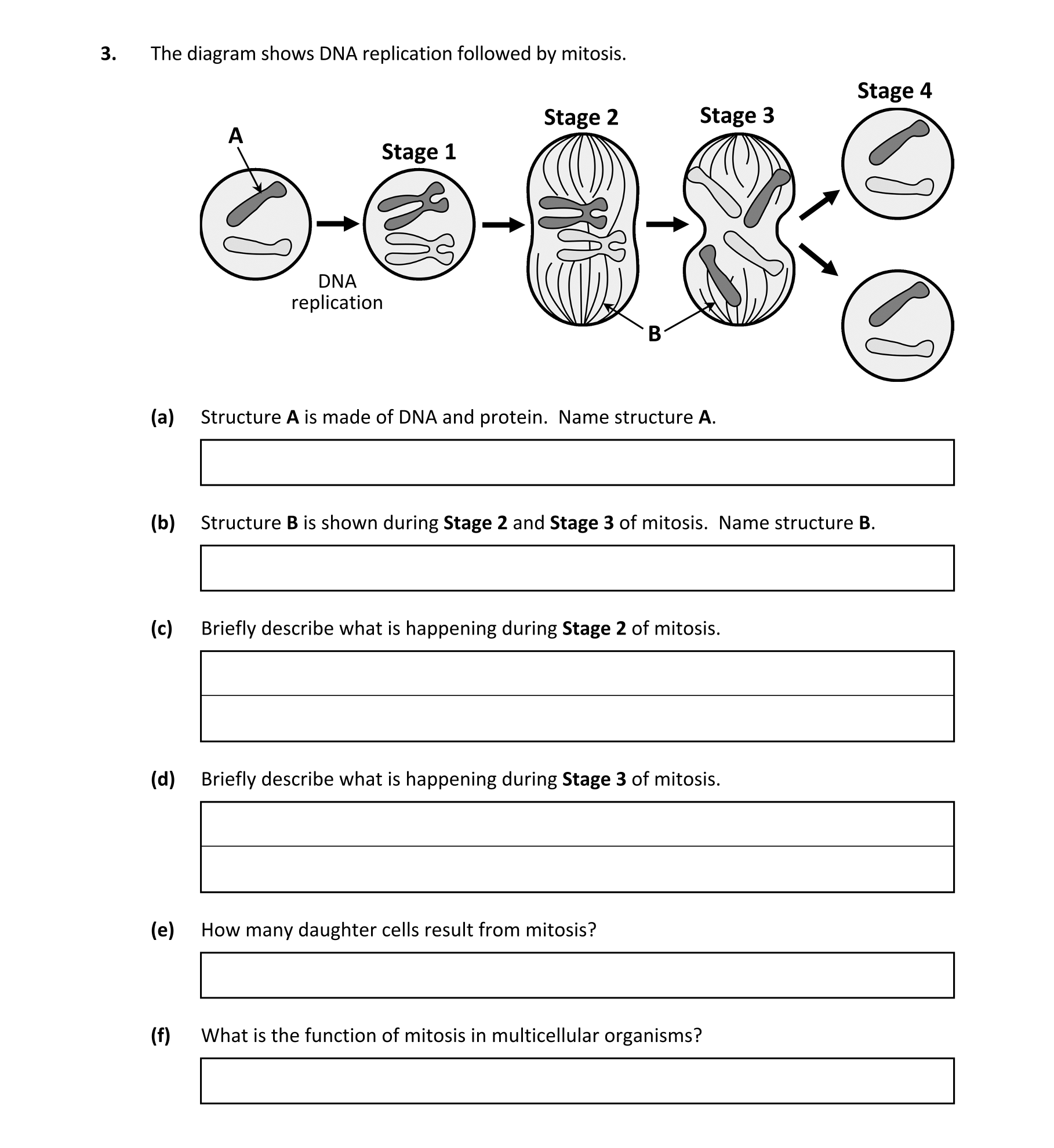 Question f391427a-5a28-4085-818b-b1789cb7d5d5