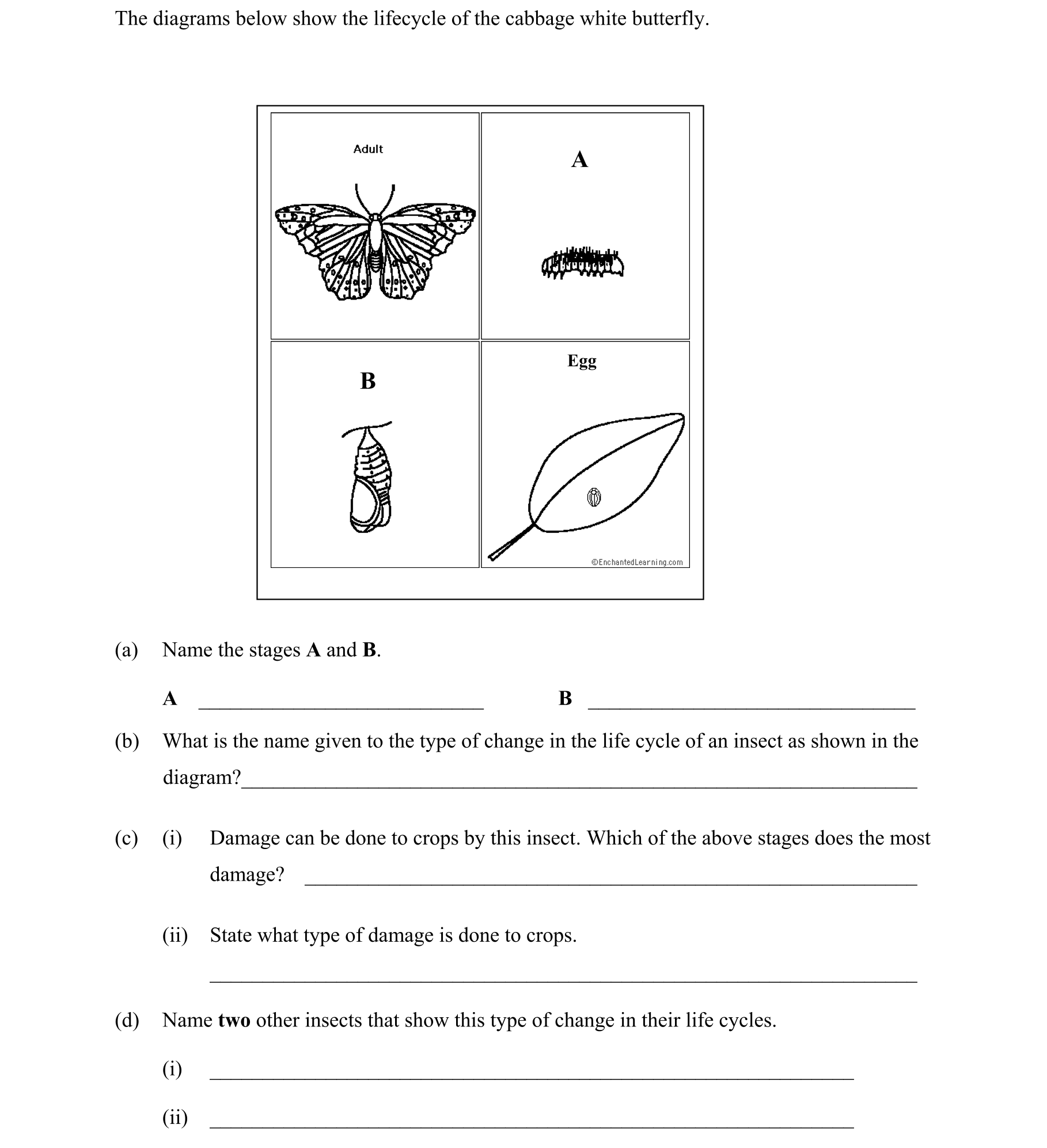 Question e6a7fab6-8ec9-4ed1-9394-f0a328e3d688