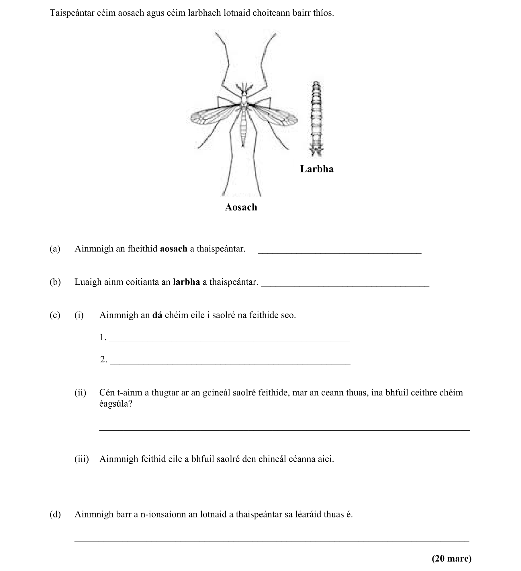 Question 341e7802-bdca-4599-b8e6-875d8febae22