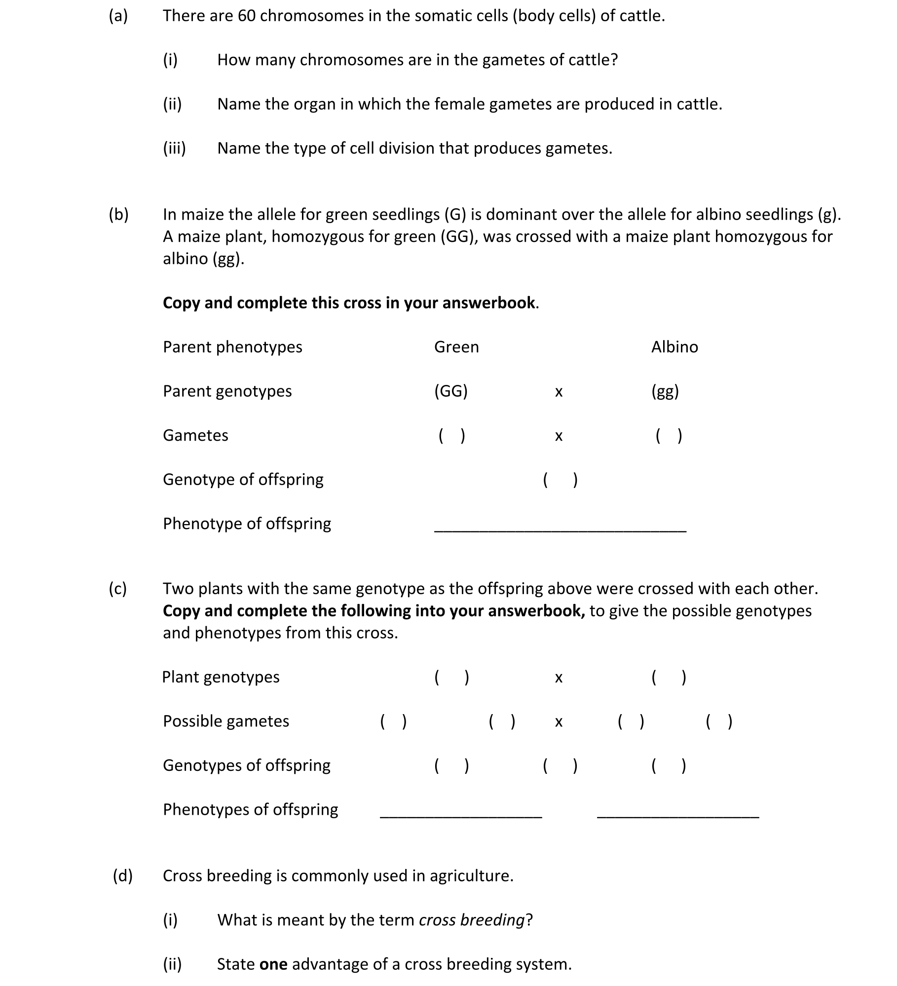 Question 06c3a66d-bcbc-453b-9970-31c23c882114