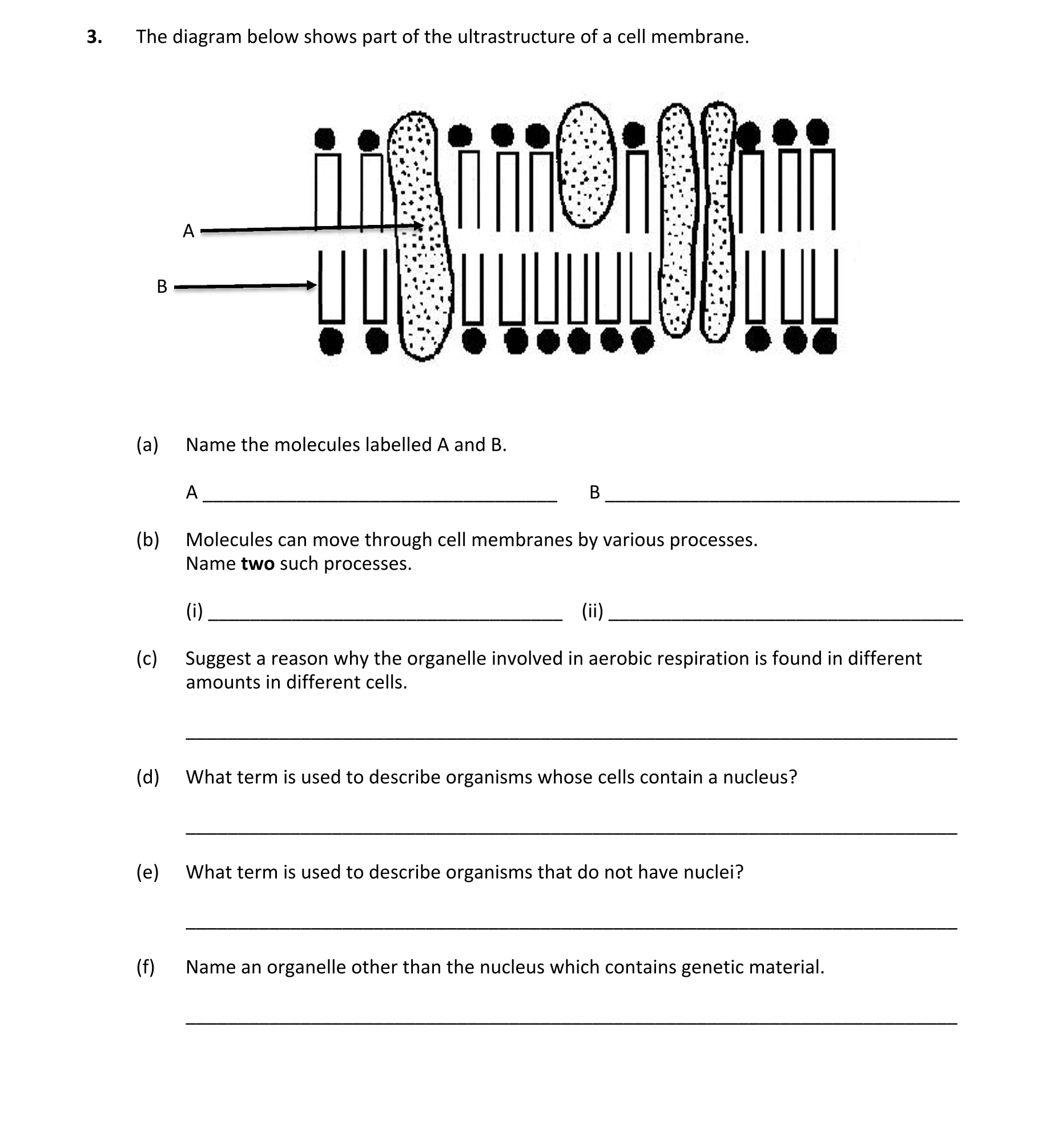 Question 3ef65838-d897-443a-bfcf-81e49846a750