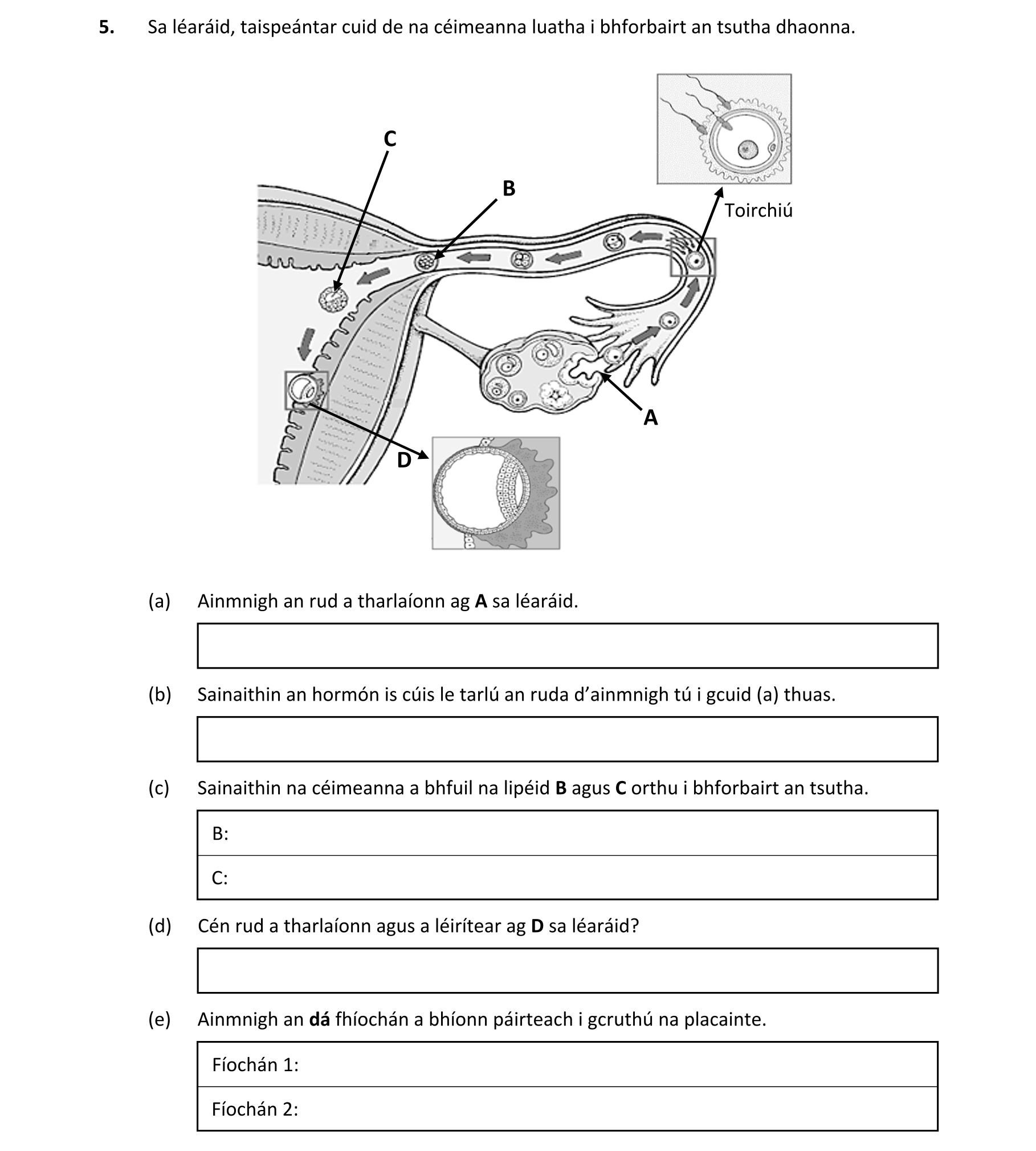 Question fa103211-c47f-44a0-94c6-eddc5d8bab5a