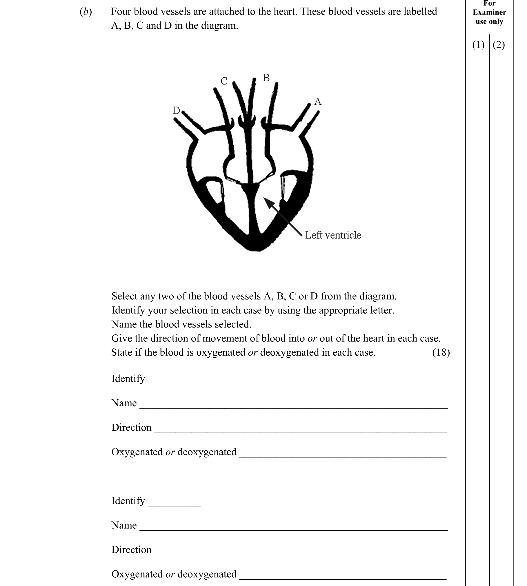 Question 2dd0c9aa-f5e6-40fc-8b43-bba050ea9ee7