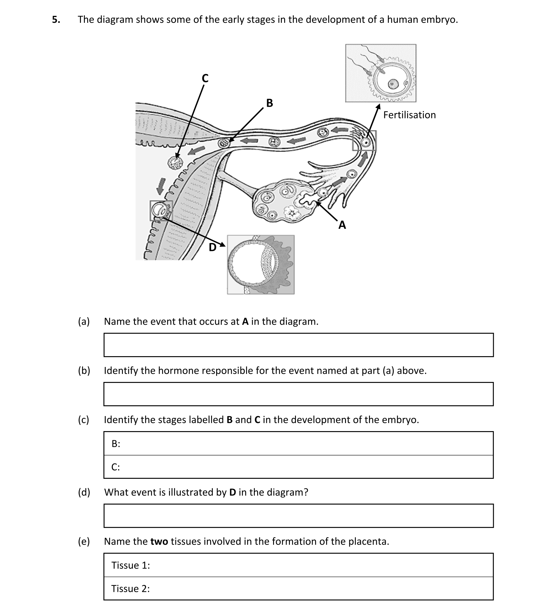 Question 54d08280-c880-416b-9391-68294805e711