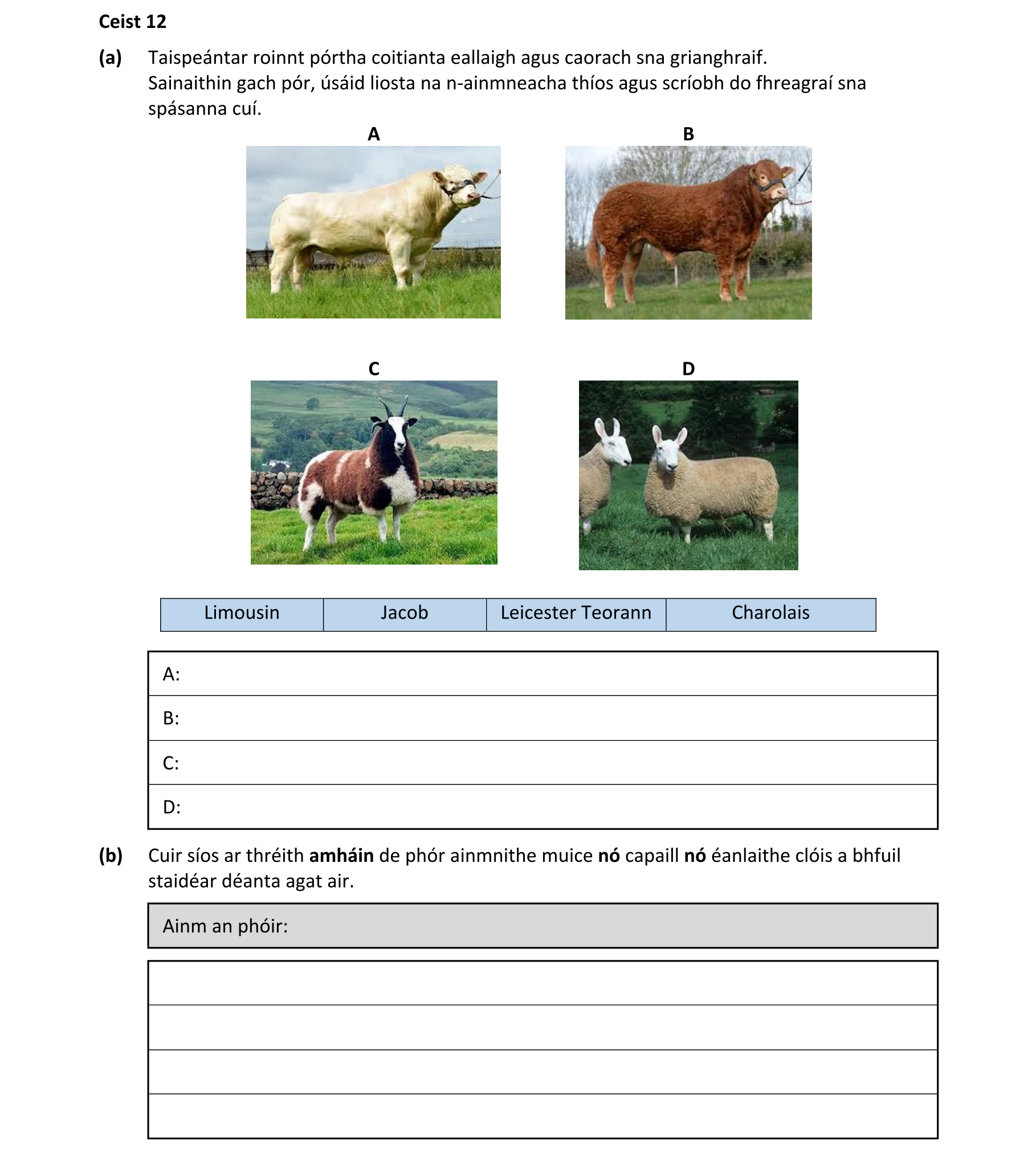 Question 6e202e18-1b2e-42e1-a65d-3533b24d068b