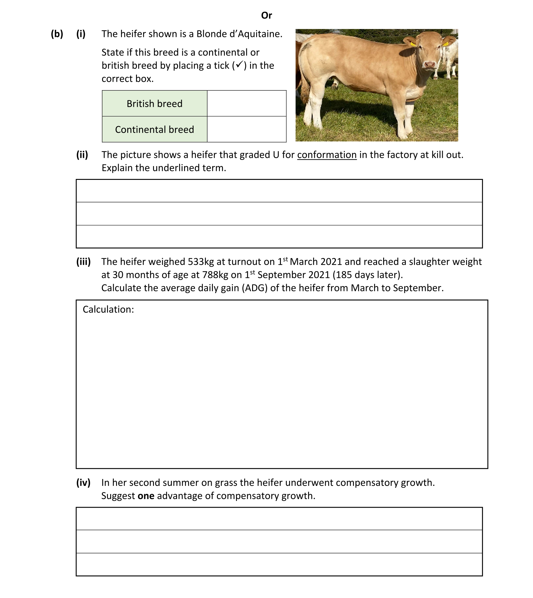 Question 98171c41-6973-4911-85d1-db639e9767e7