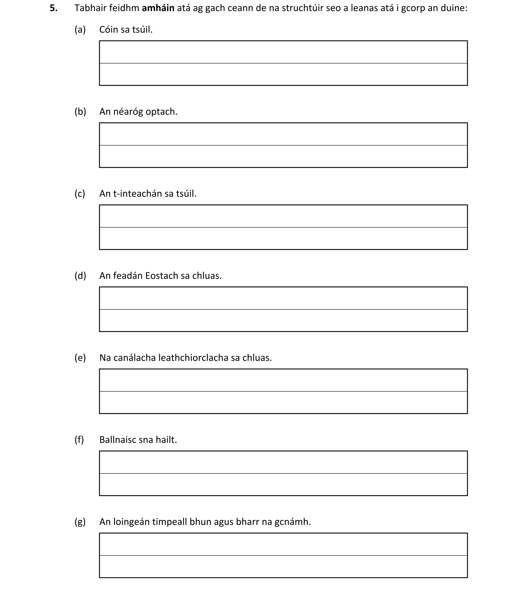 Question 49f5853a-3478-41ba-b4f8-5705ab5e068f