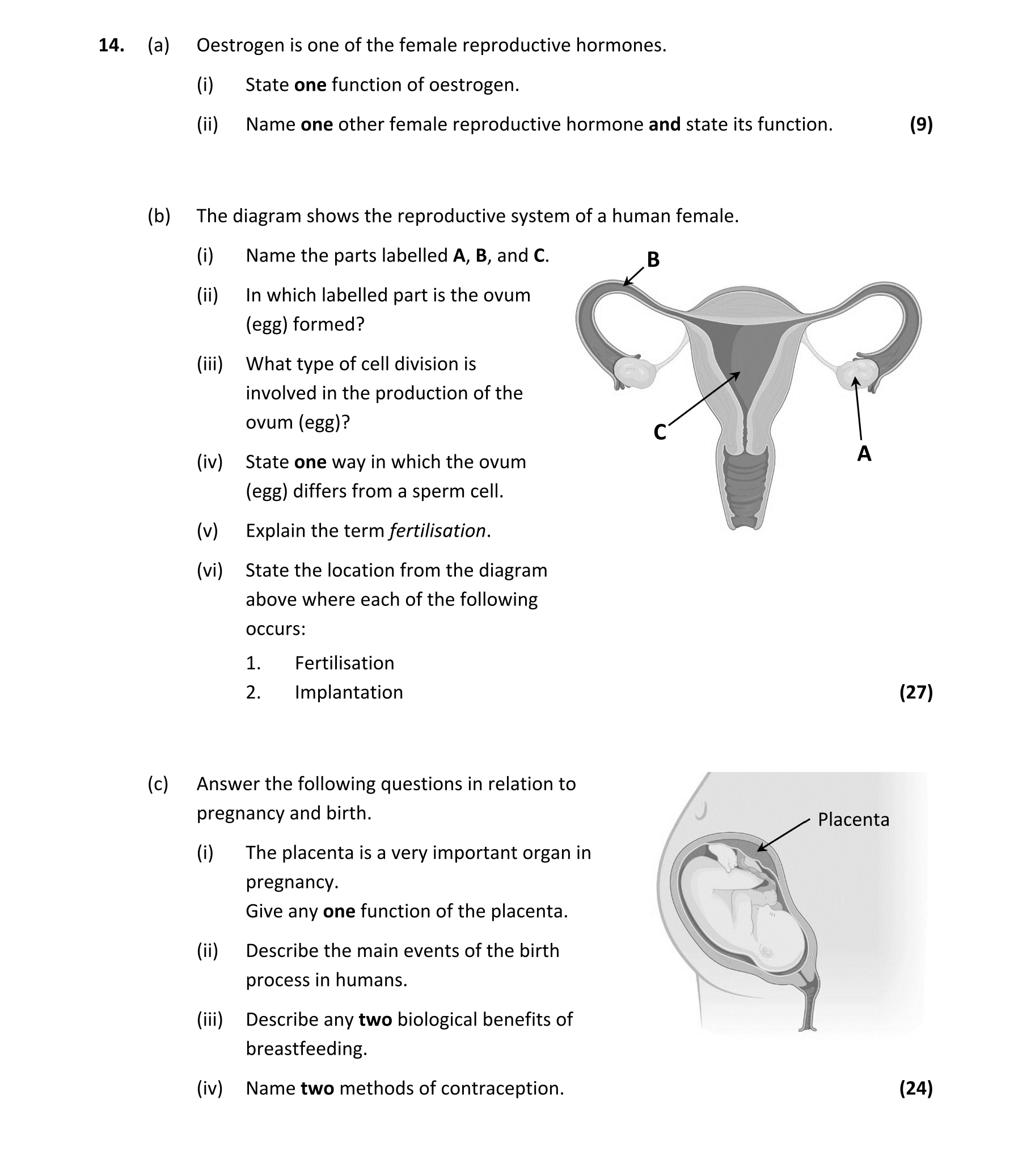 Question d22652cd-d7c2-40a8-92c1-84bd046aa9f0