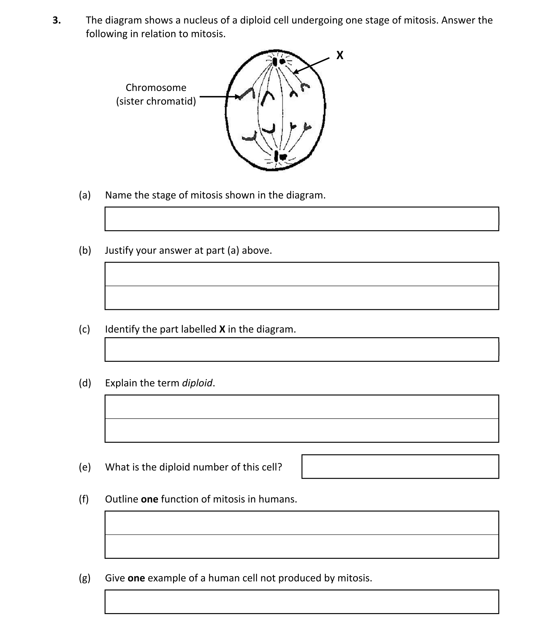 Question a3ad1627-4b14-48d9-ab4f-06ae86b8f76a