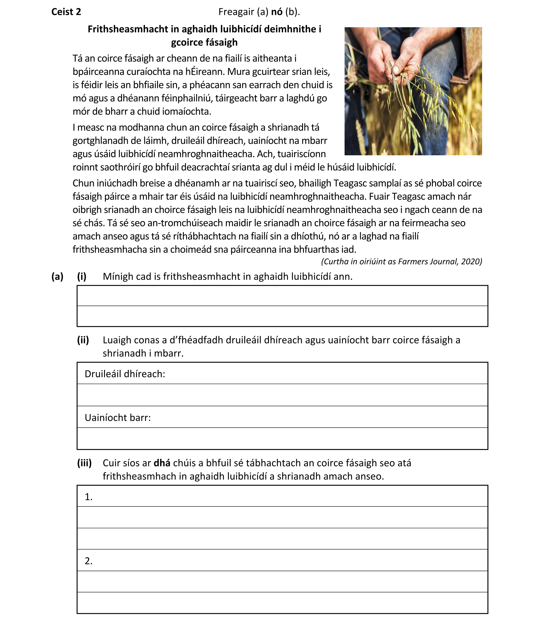 Question 4c4a00e3-14b1-43de-a400-6032fddb1935