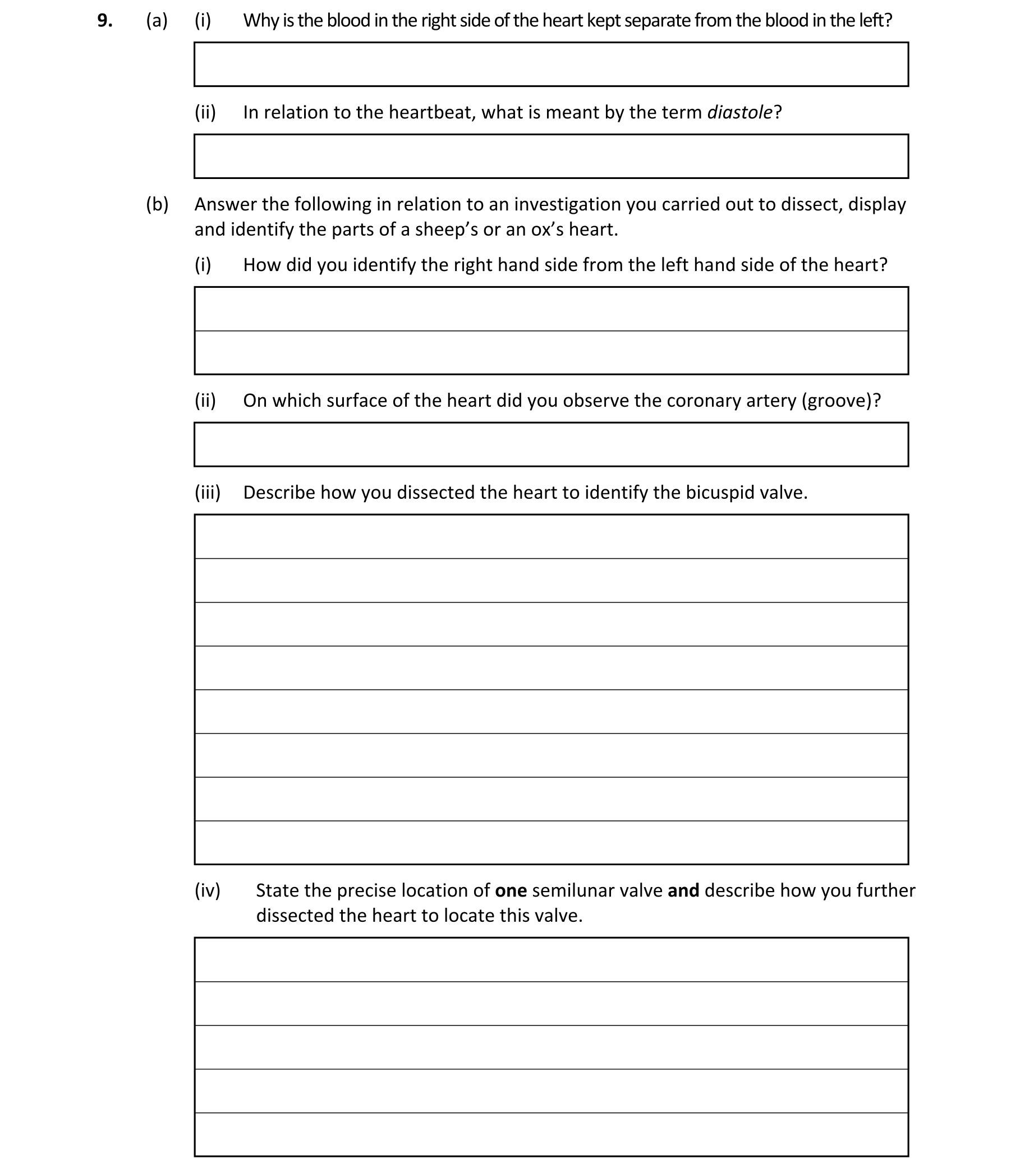 Question 1176fcef-6e54-4256-bd15-41004d38c6ad