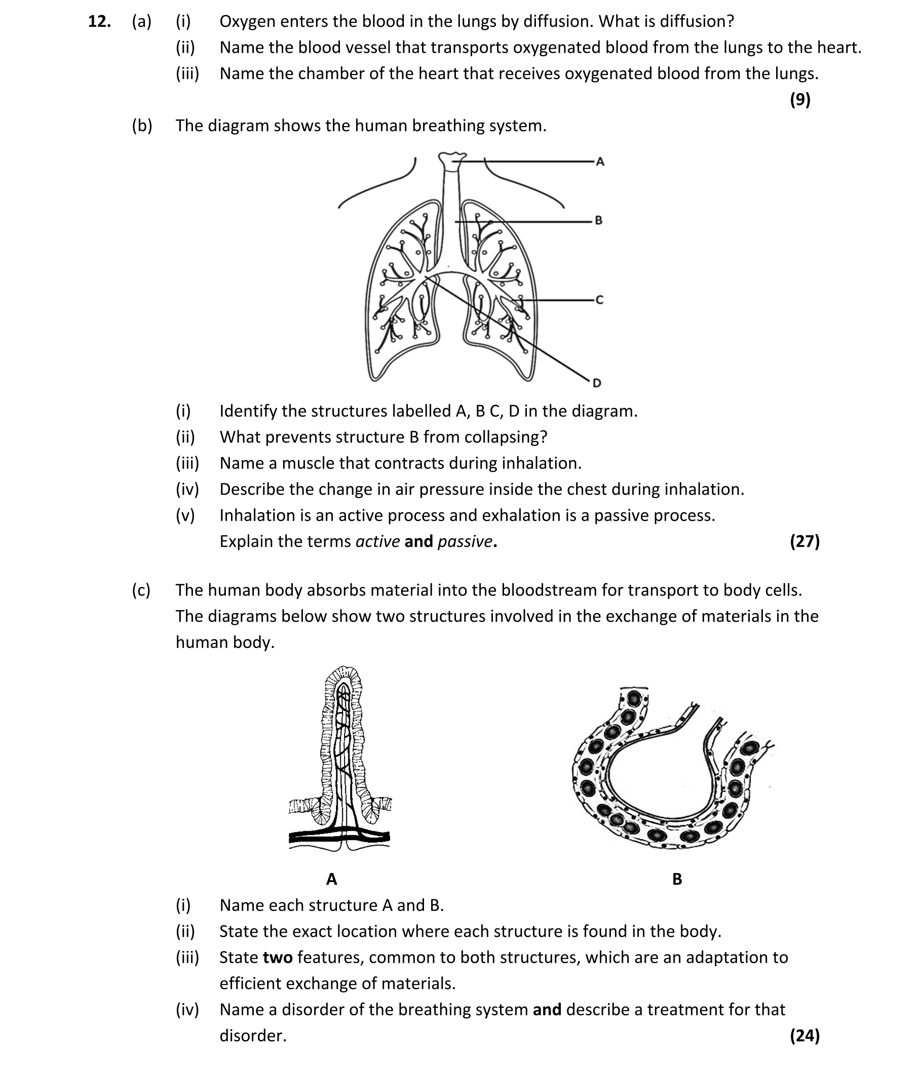 Question 2bb03eda-35de-42a6-8b28-e8616b8c6787