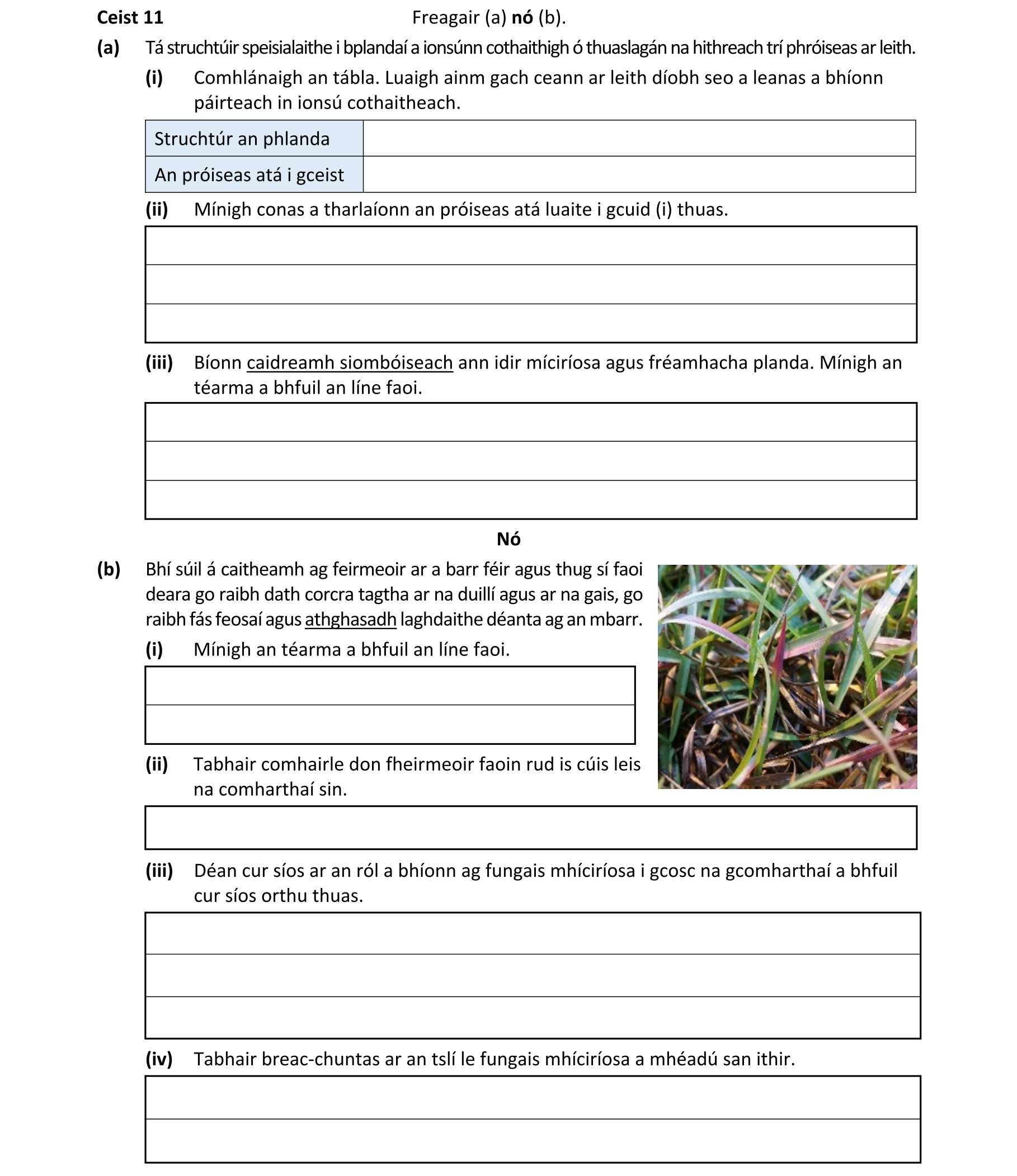 Question 6f2403cd-3961-4e0c-b07d-3a36eb195985