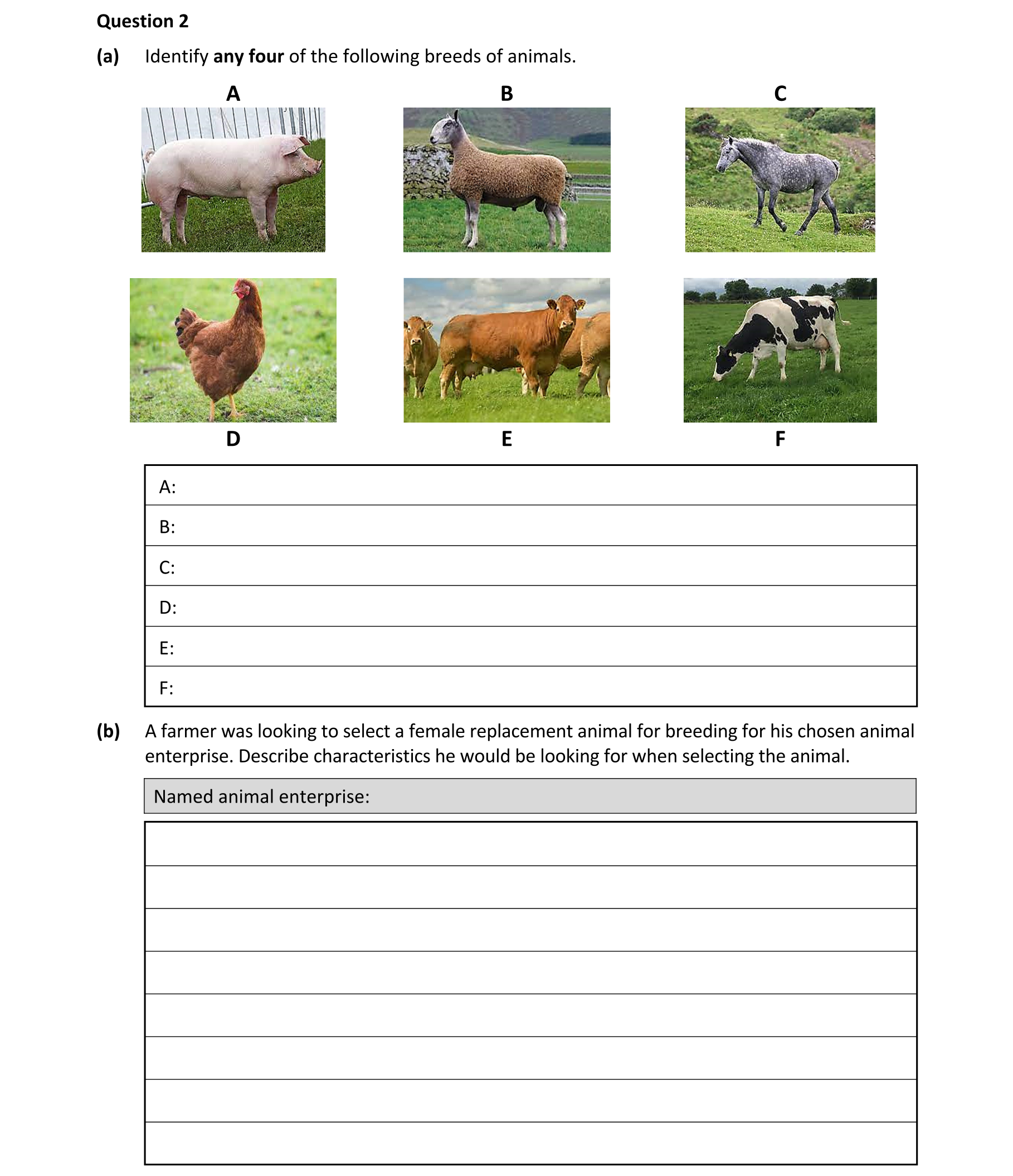 Question 1a49c3e0-1c9a-4759-9e84-7ee14e127dcc