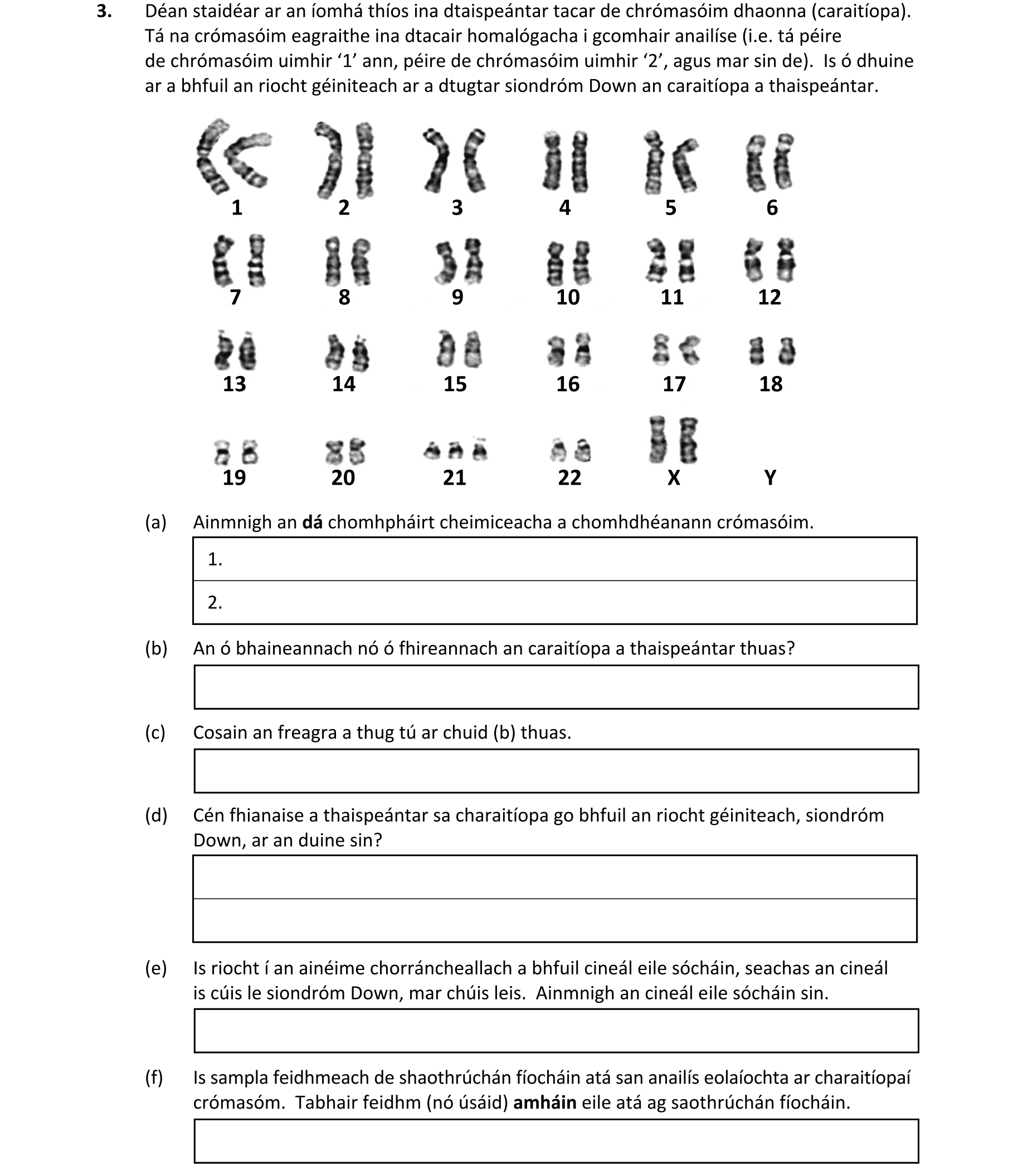 Question d3af00fa-a82c-42b0-ad80-7d2ace0a75f4
