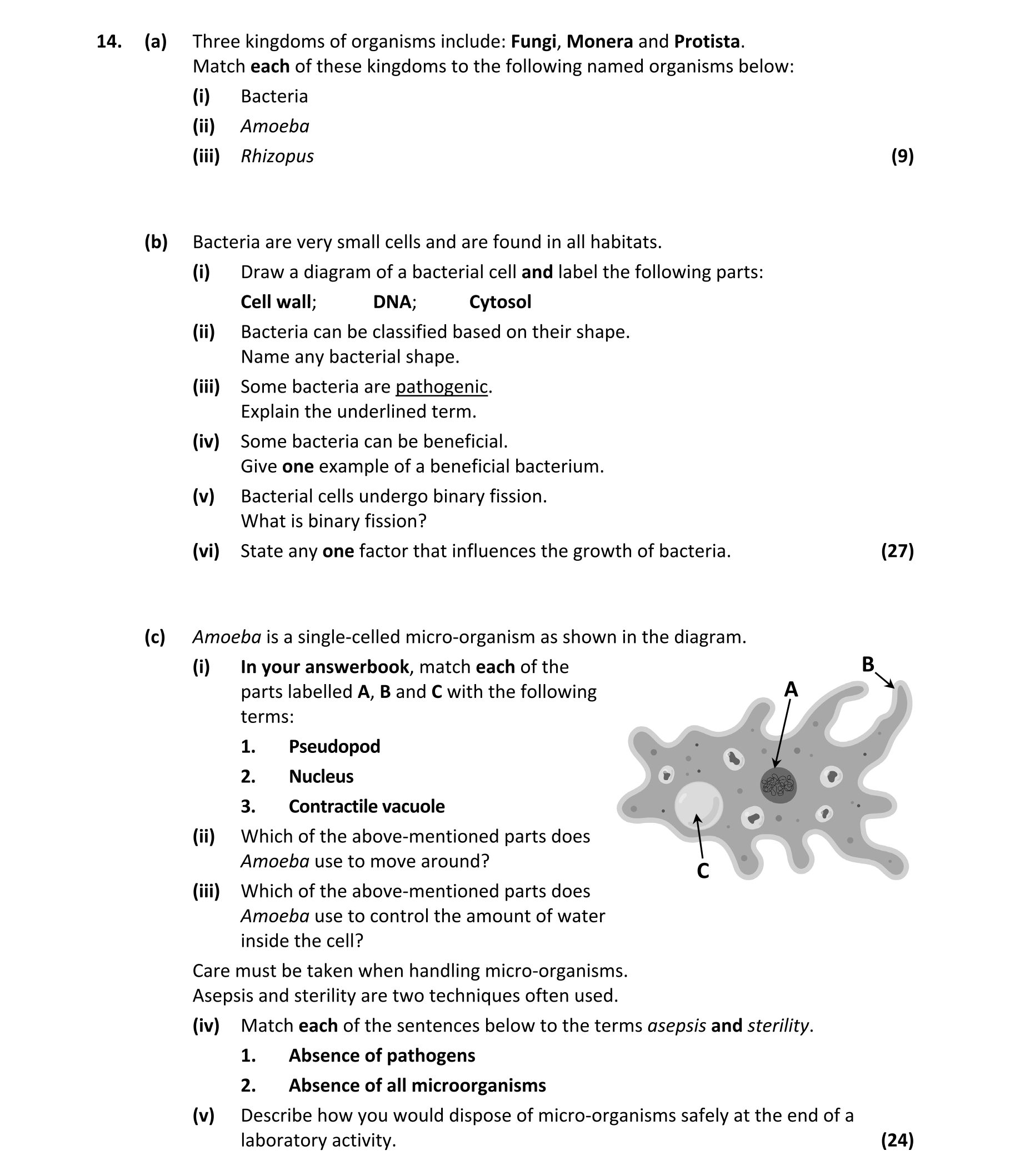 Question 676193e0-ea94-4dd9-894a-1c562f32eb18