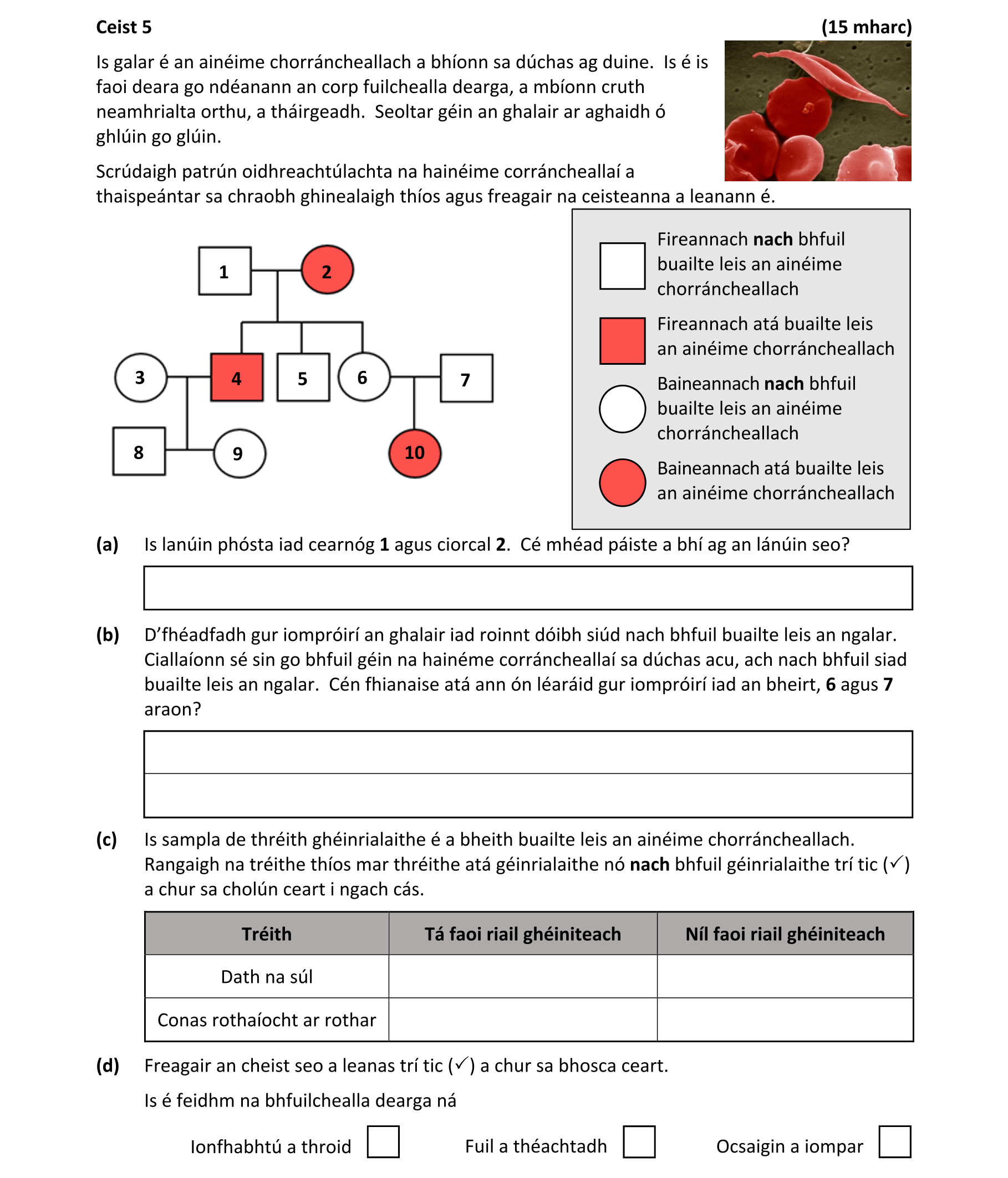 Question 0574cc97-d29c-4b0b-ad7d-2bf80f4f5550