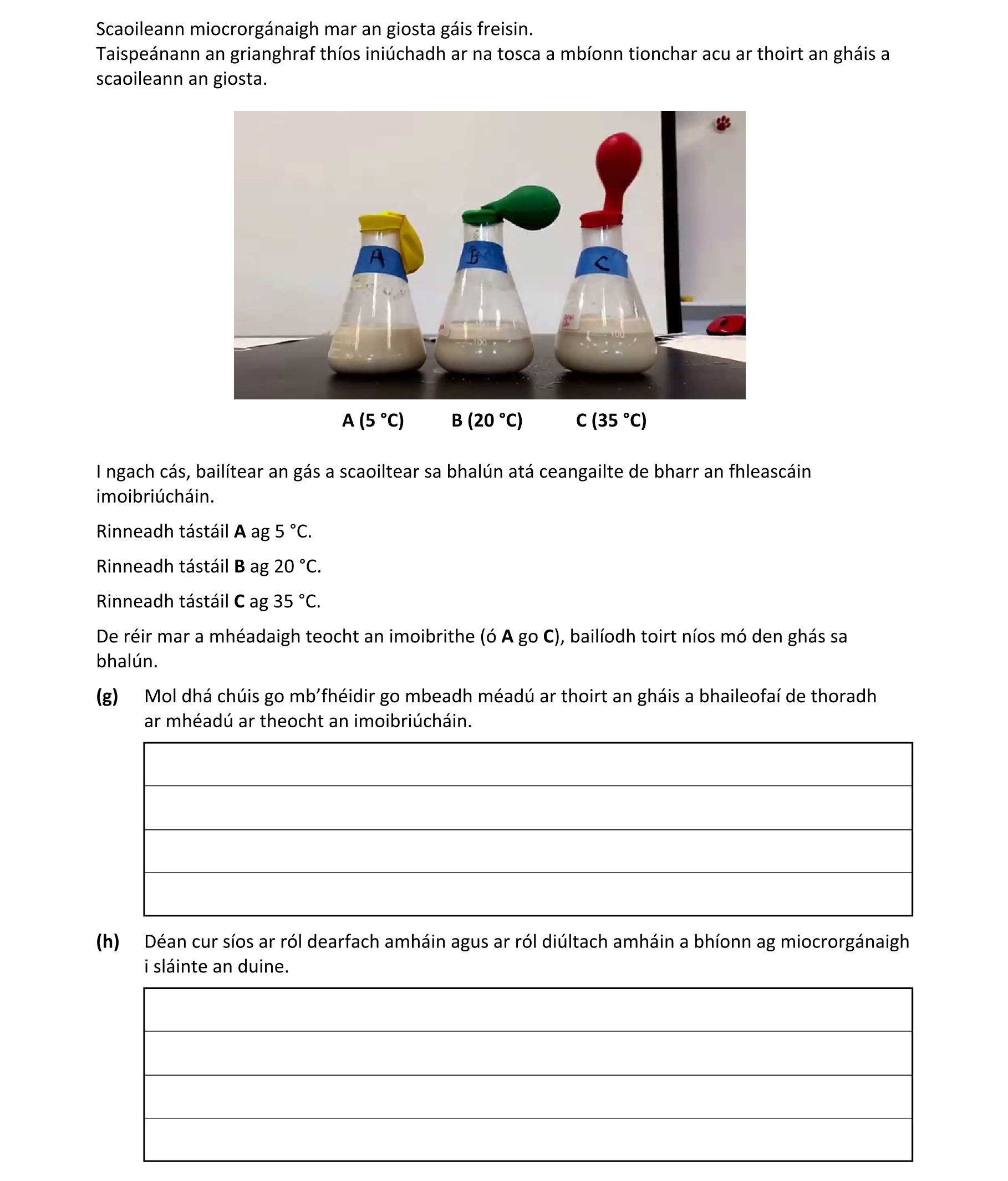 Question 8d892815-eeba-4b72-903d-cda9405f35d7