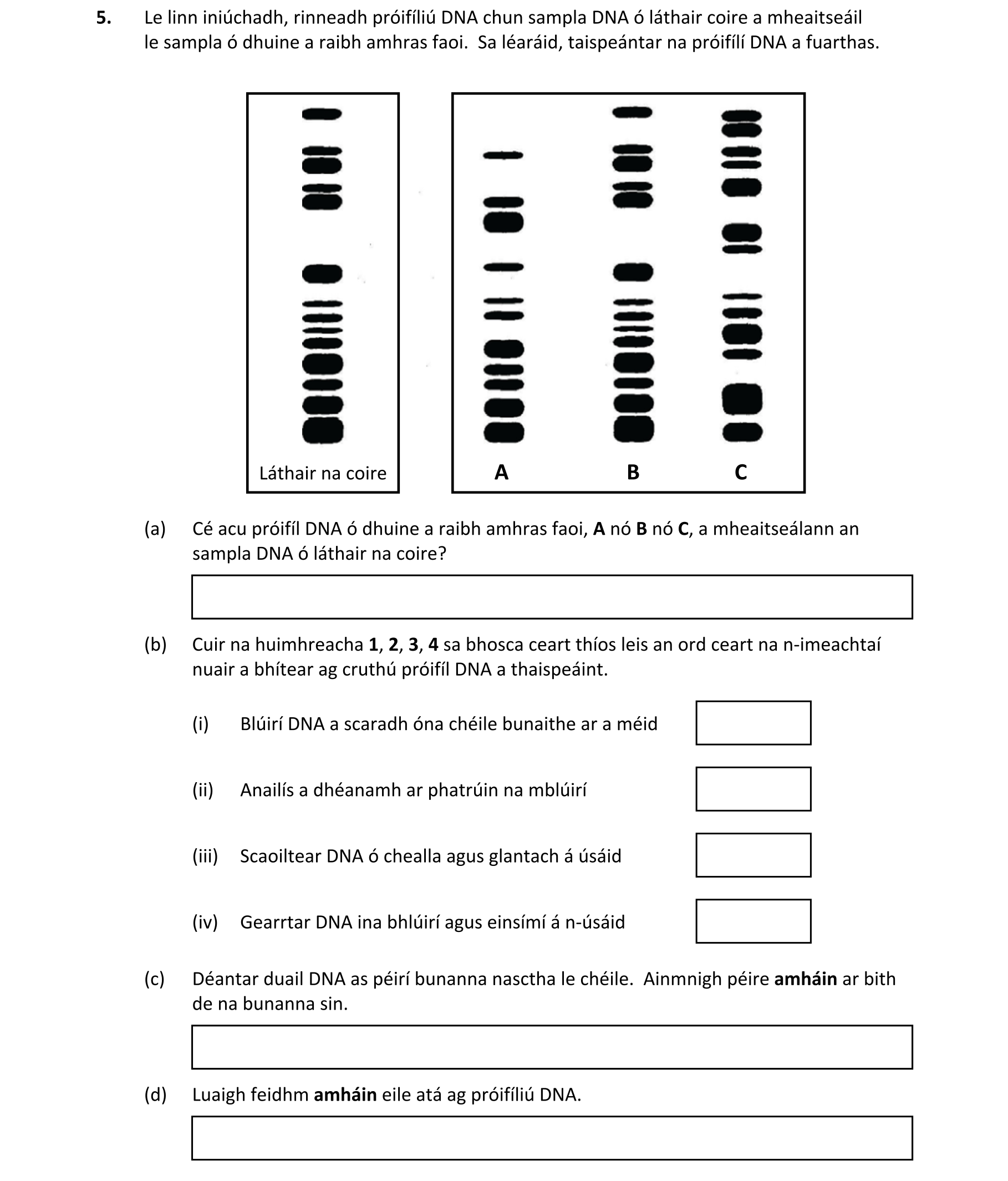 Question b1d46148-9fa6-4e9f-9e15-d05ba950b765