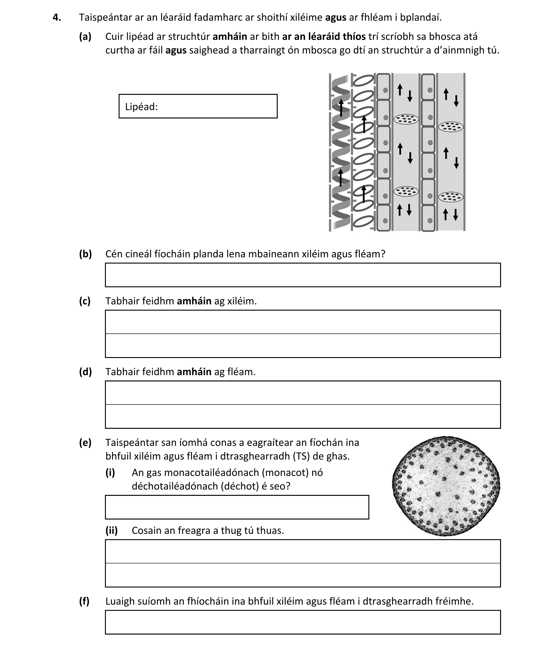 Question bae461e8-bc38-4440-a581-9bbb0287da62
