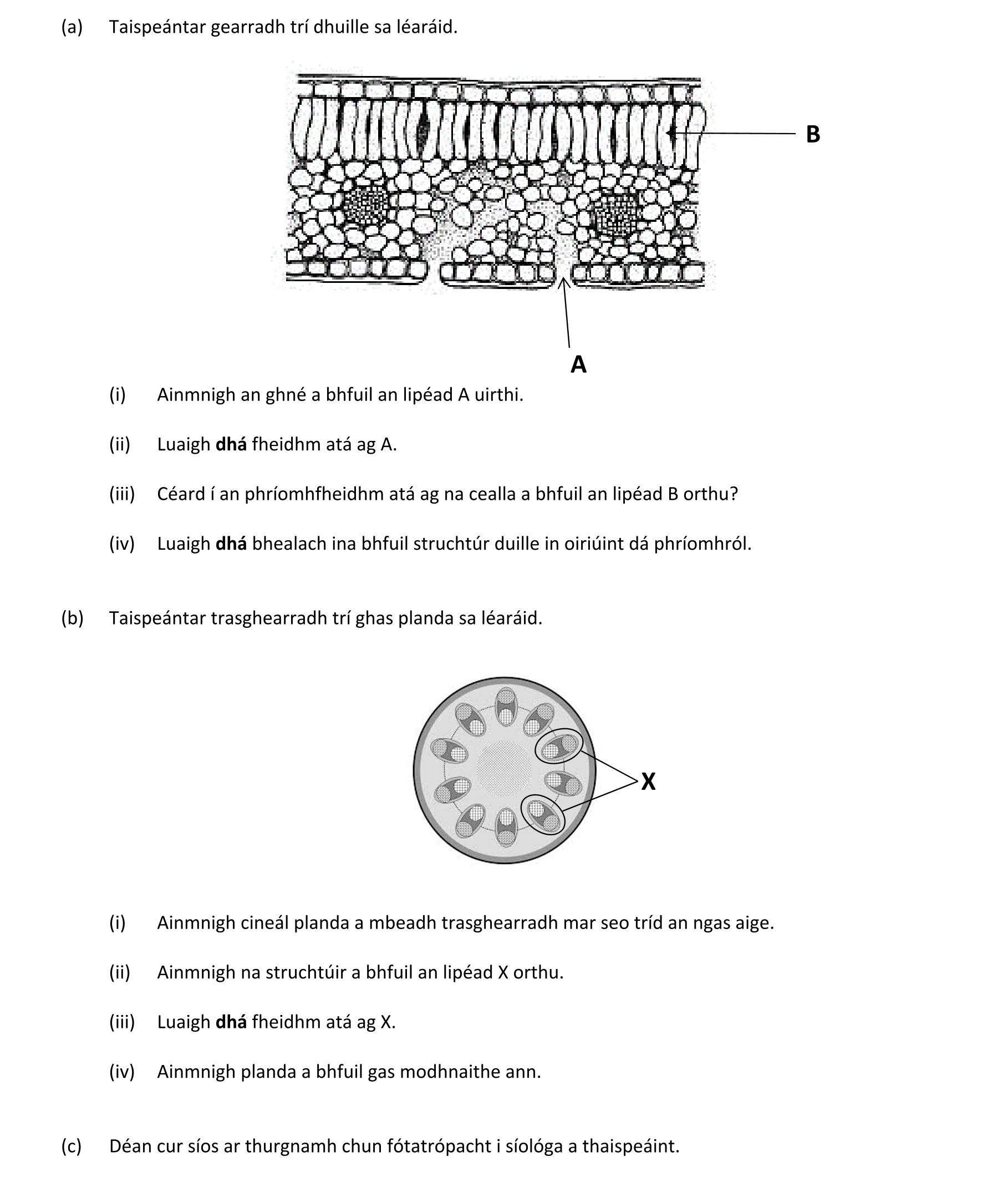 Question 79868188-4ae1-4865-8313-d0c5c970bad6