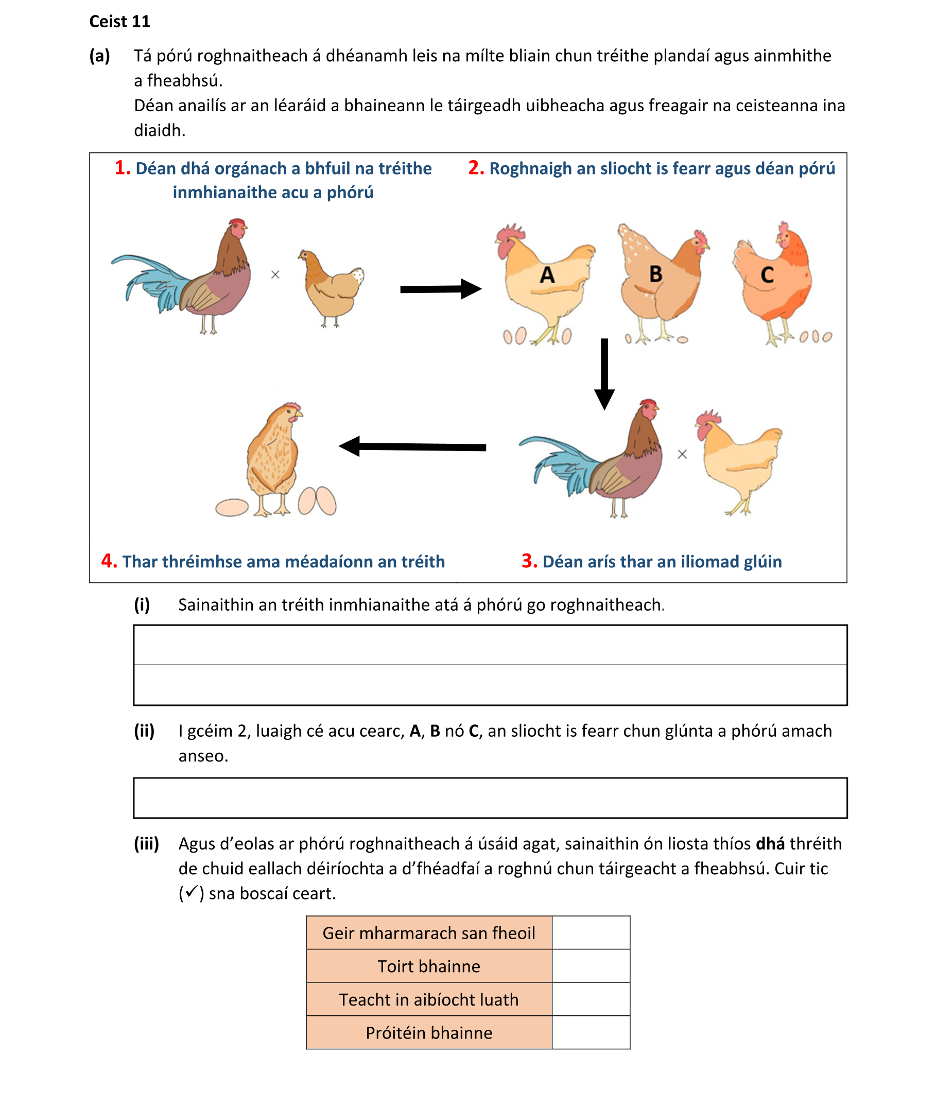 Question 385dd330-2fba-4dc5-983c-59d1ca3c6f38