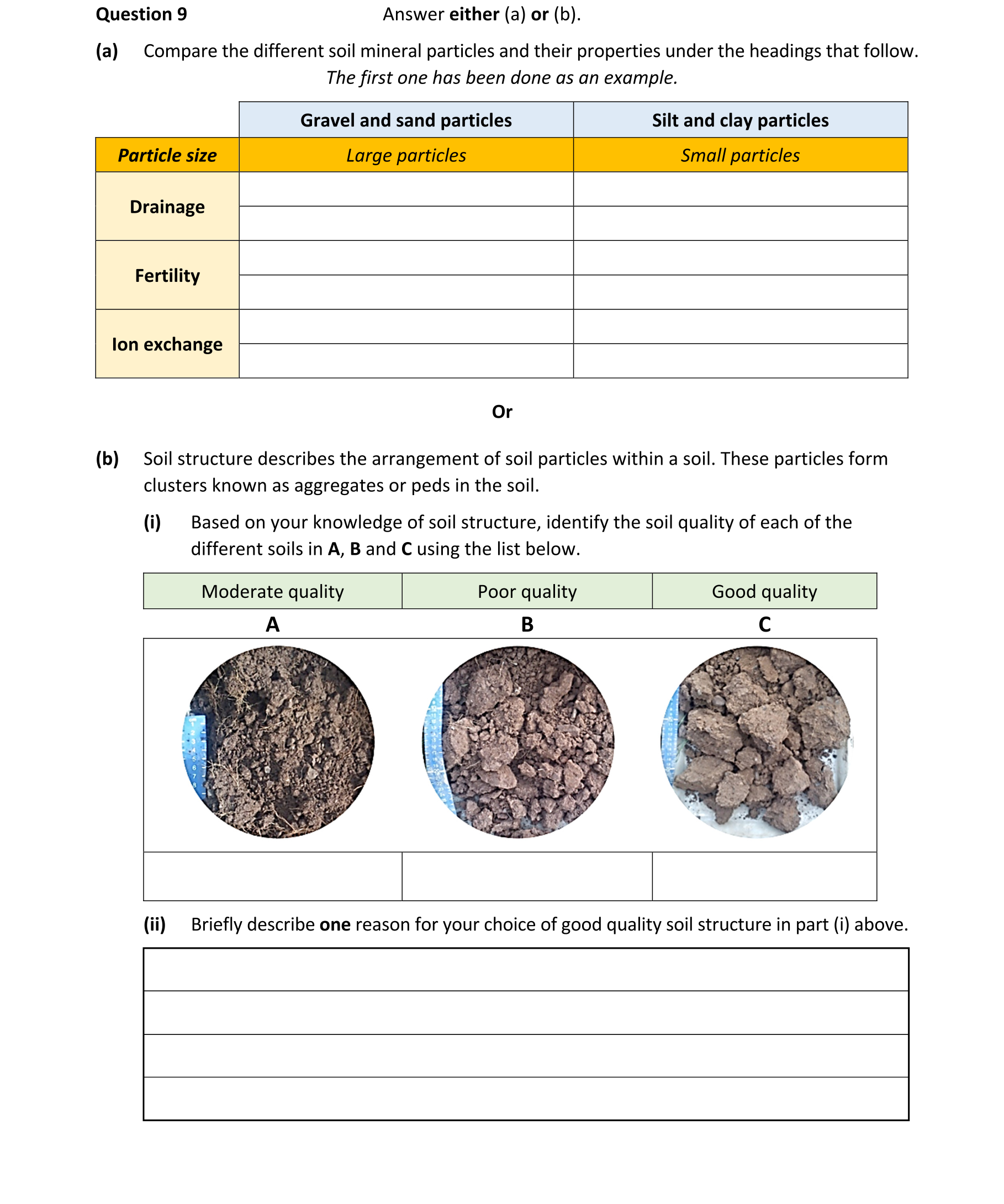 Question 911f6028-2b26-4696-80f9-8dae1921b46a
