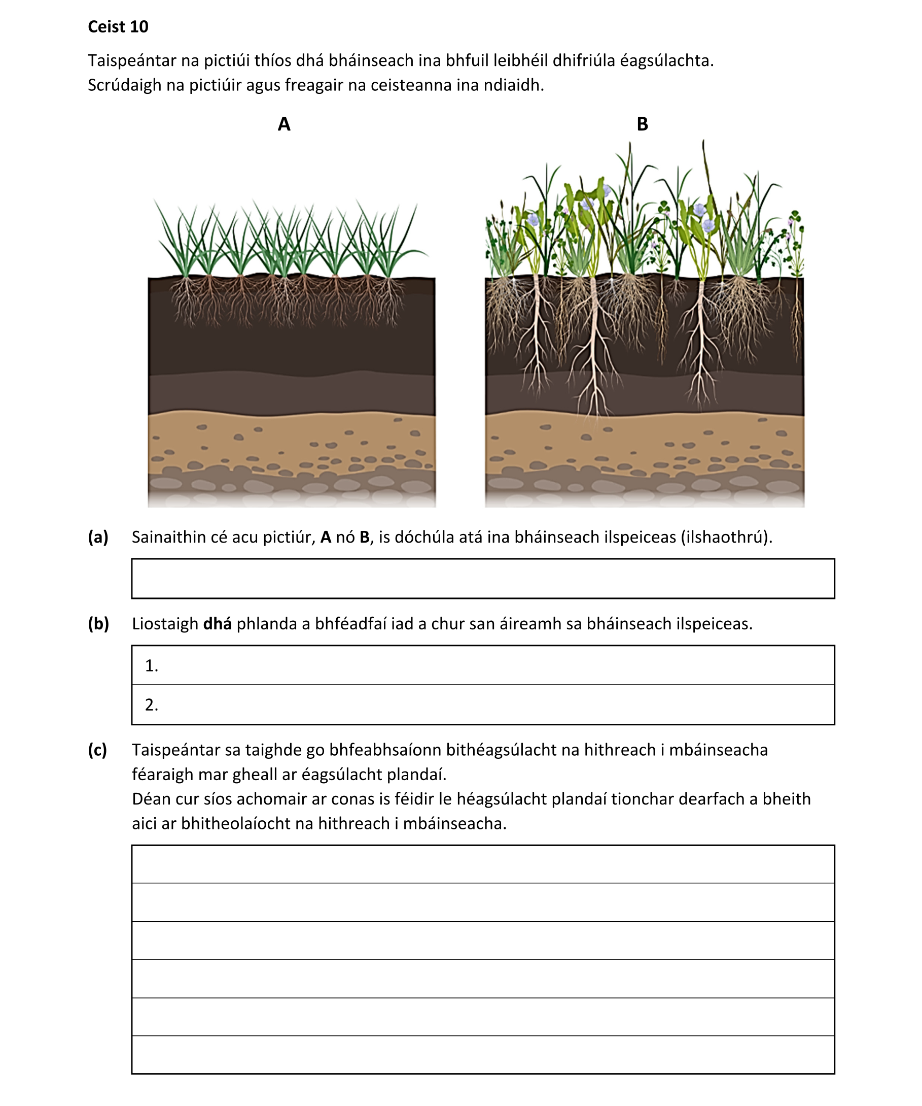 Question d48e05e0-a1da-42f6-8851-e85617e88c4a