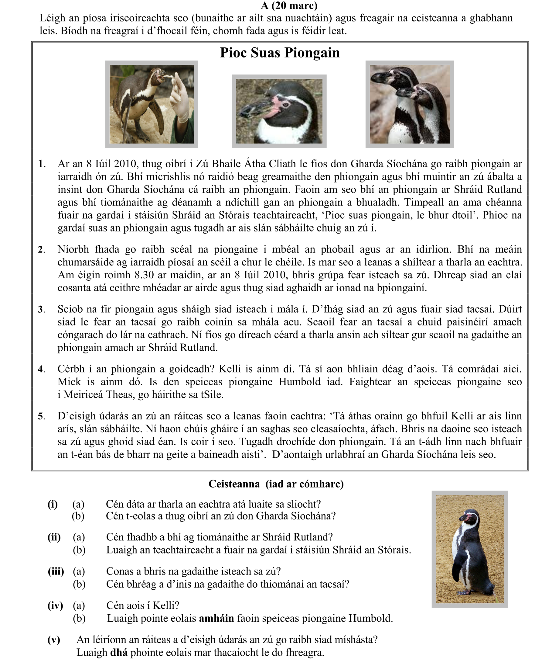 Question 842d9800-2cf4-4cf0-81c4-70d83b2cb97f