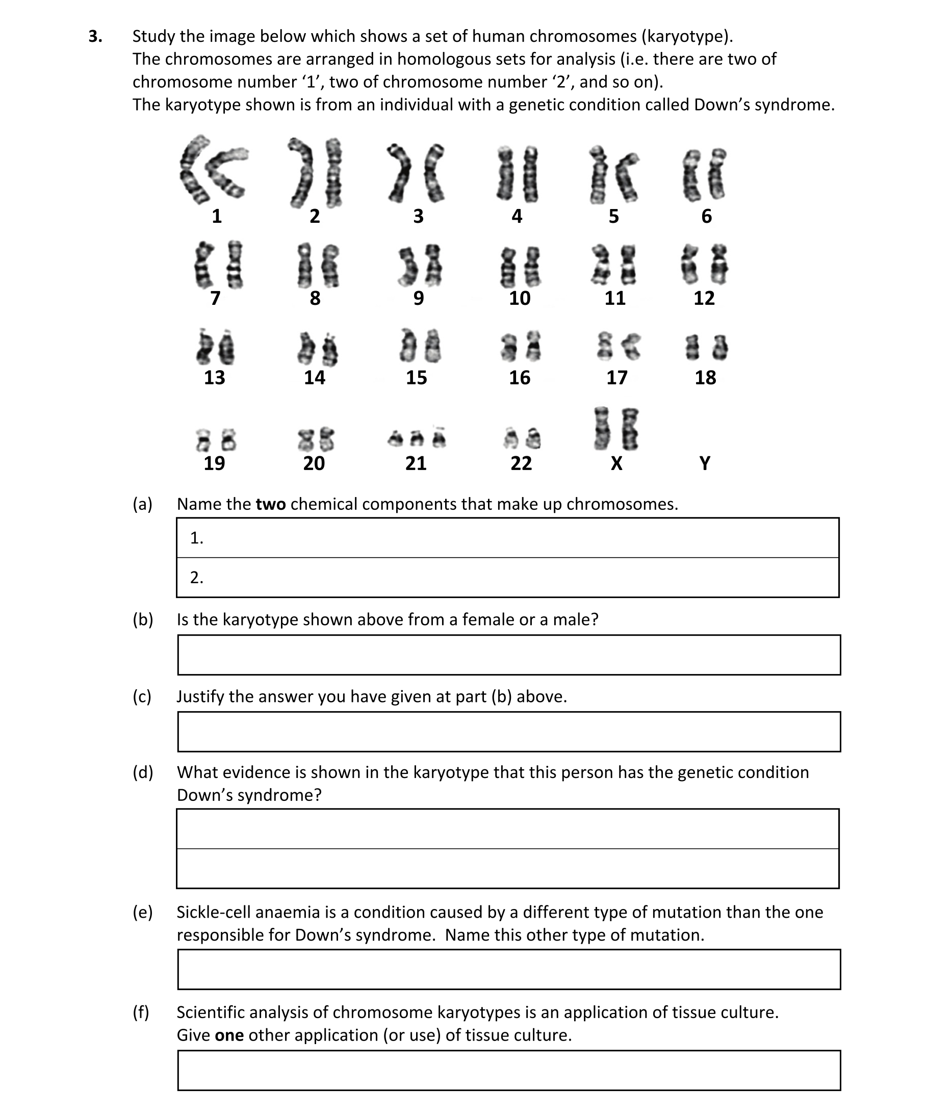 Question 6004a8a0-0b42-4124-a38c-dbe40de368ab