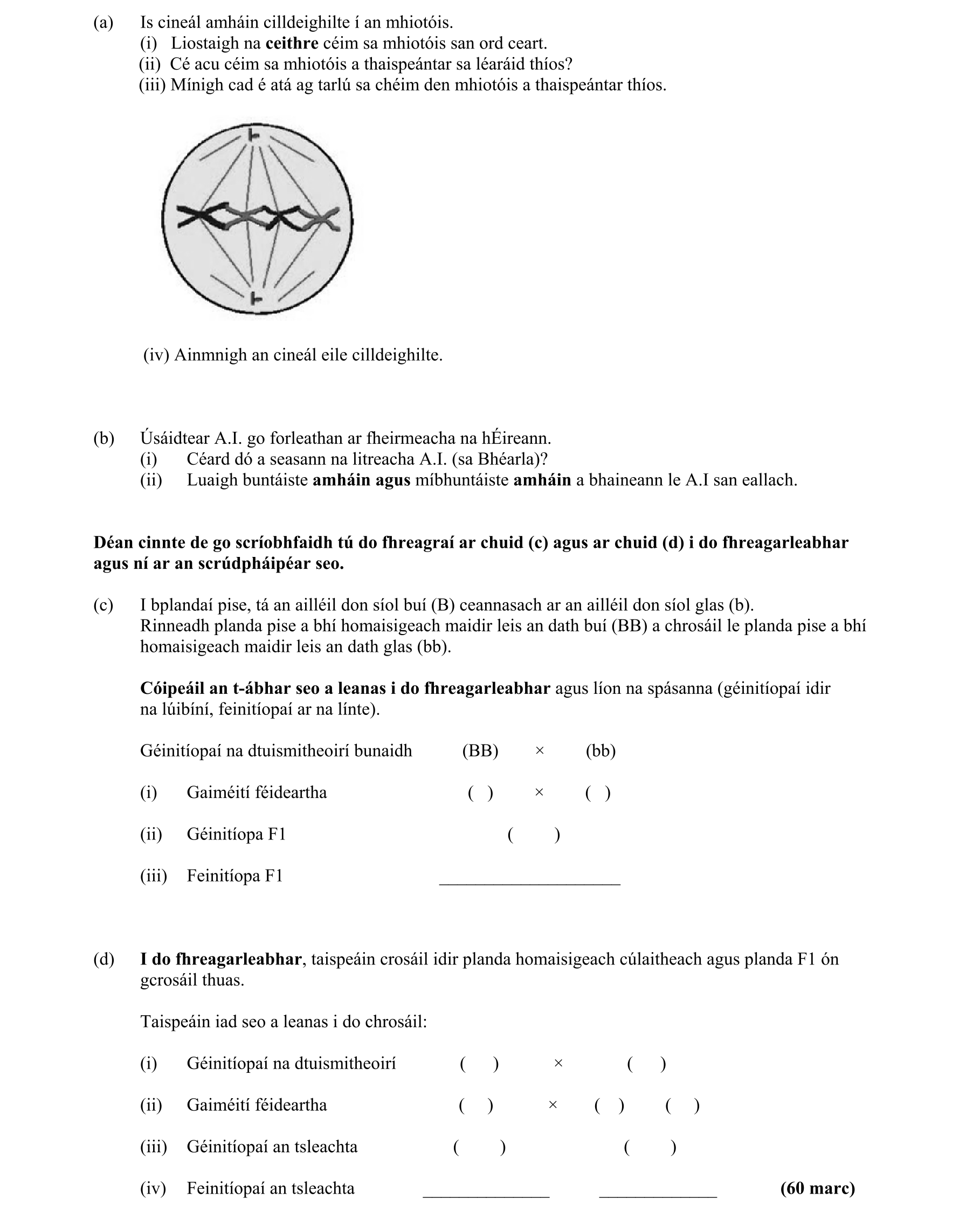 Question c0192071-e002-40c5-88fc-8b2d612c62d4