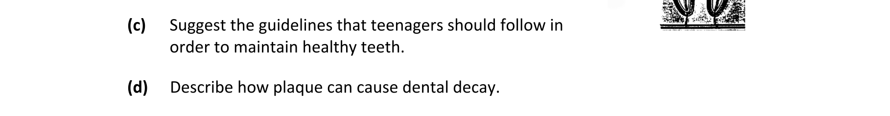 Question 13e6f3de-e9b0-4fd4-b354-5aecf7c6d248