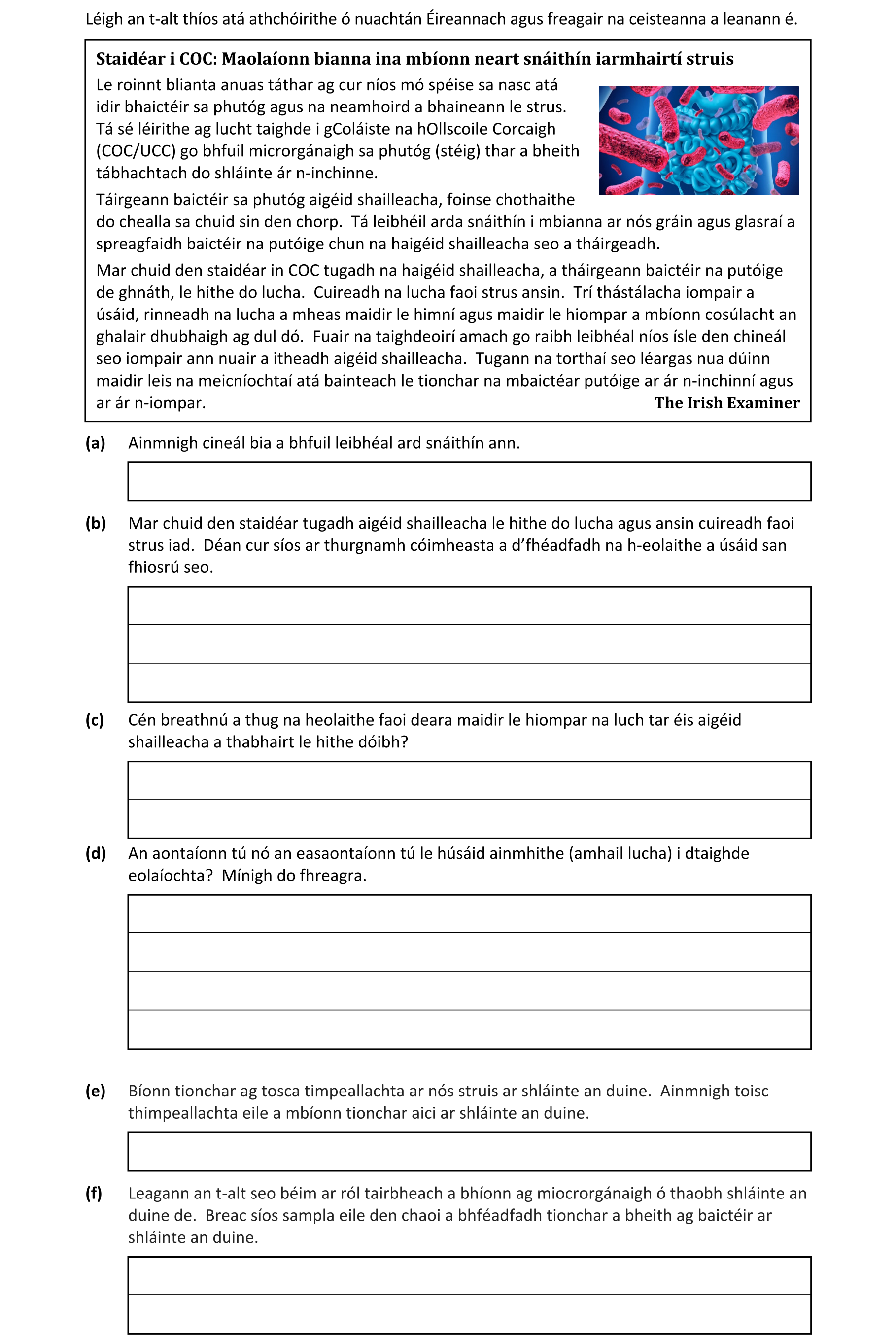 Question 729d5ea1-9da0-4857-9e9c-68a4a1e79d5b