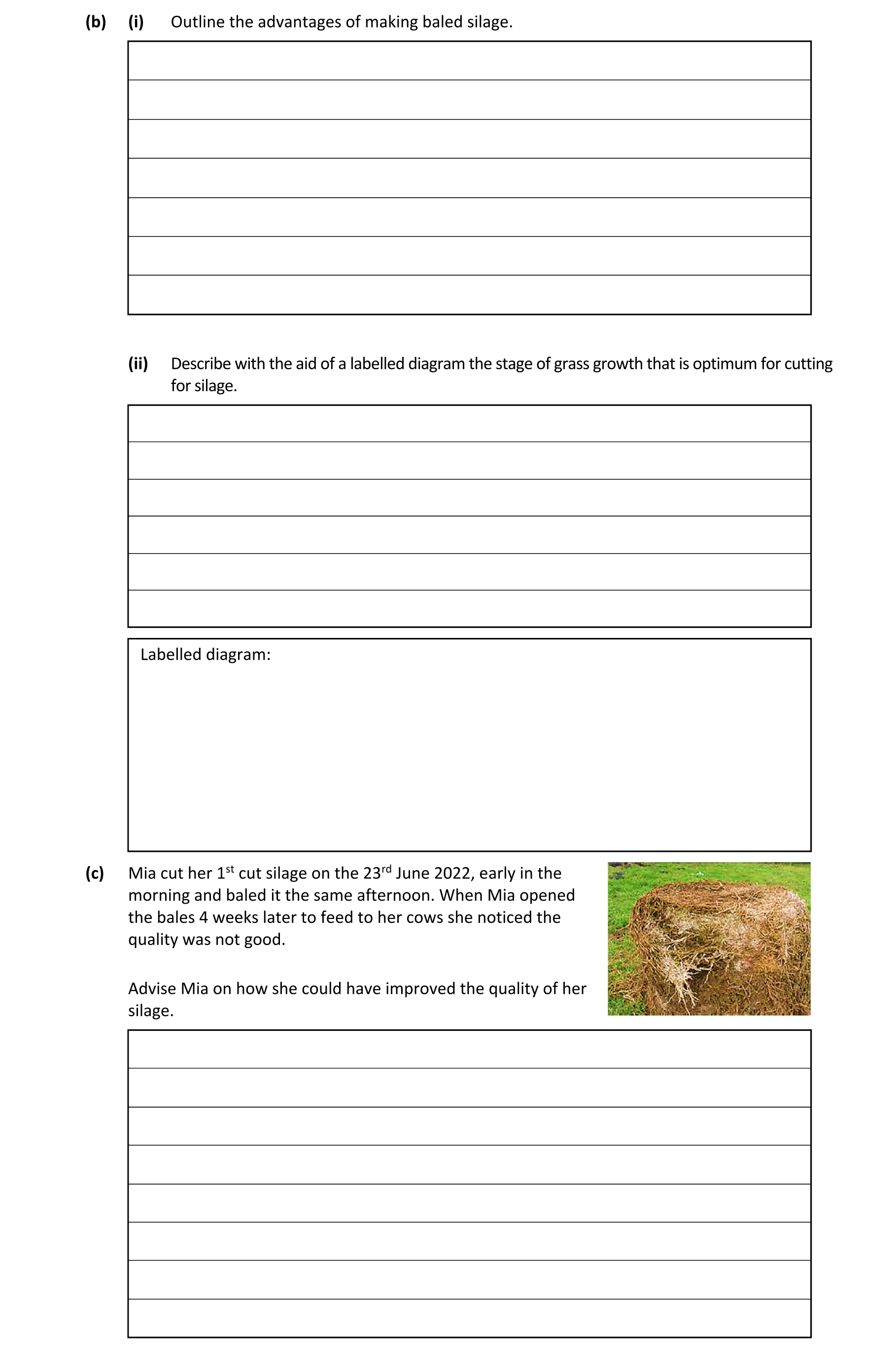 Question be06edb6-633e-4ee3-89c4-2328a9846025