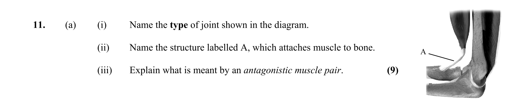Question 3a51e526-7719-40d5-b9b5-17d2ed12936e