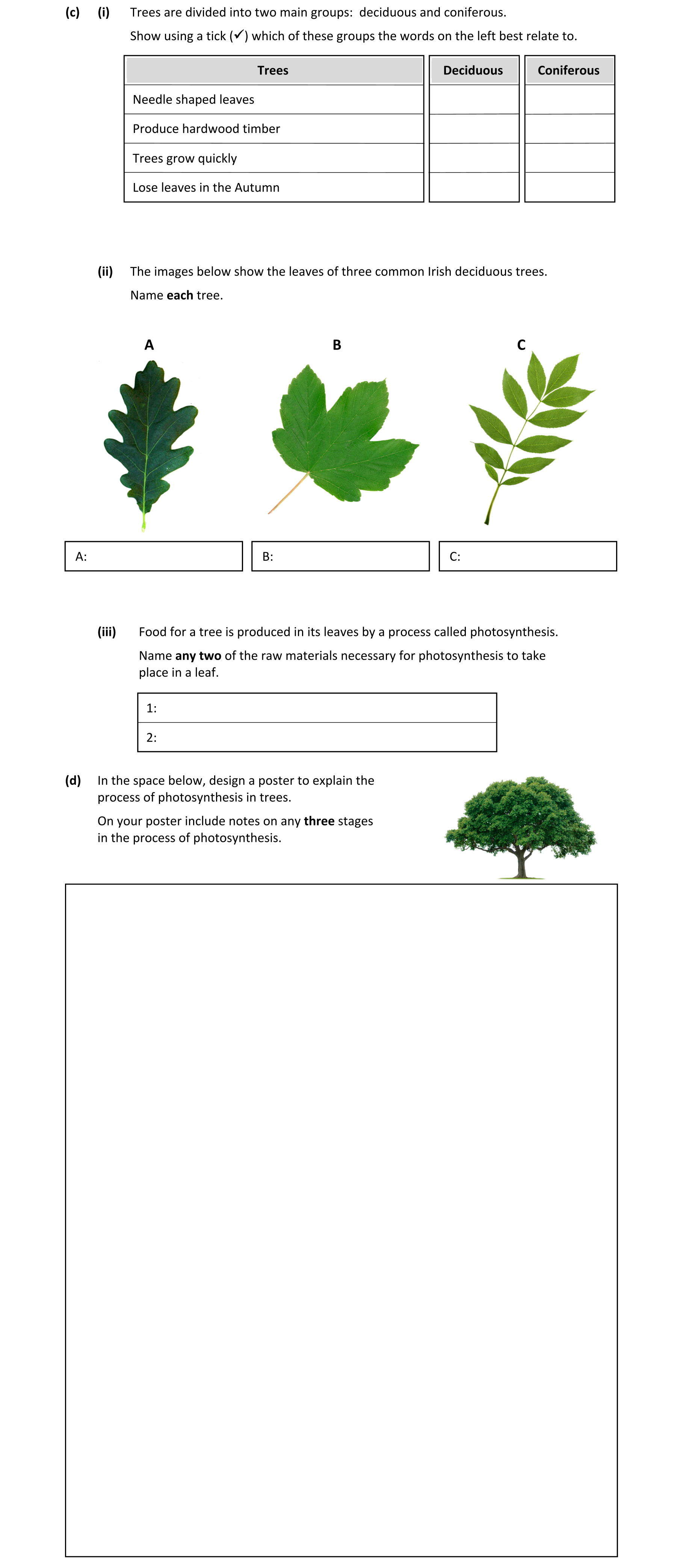 Question f9fe8002-e62b-45b5-b4f3-54bfb8b9f89e