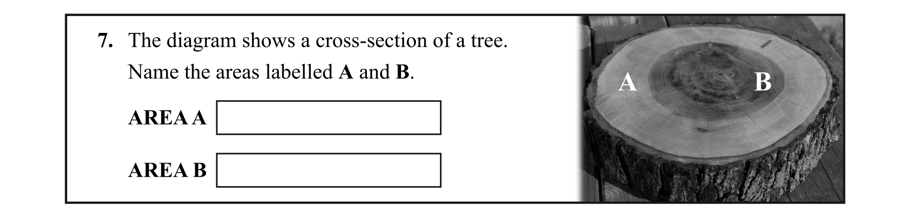 Question 44b852ab-3bd8-445e-94e8-4a4ff2a375a7