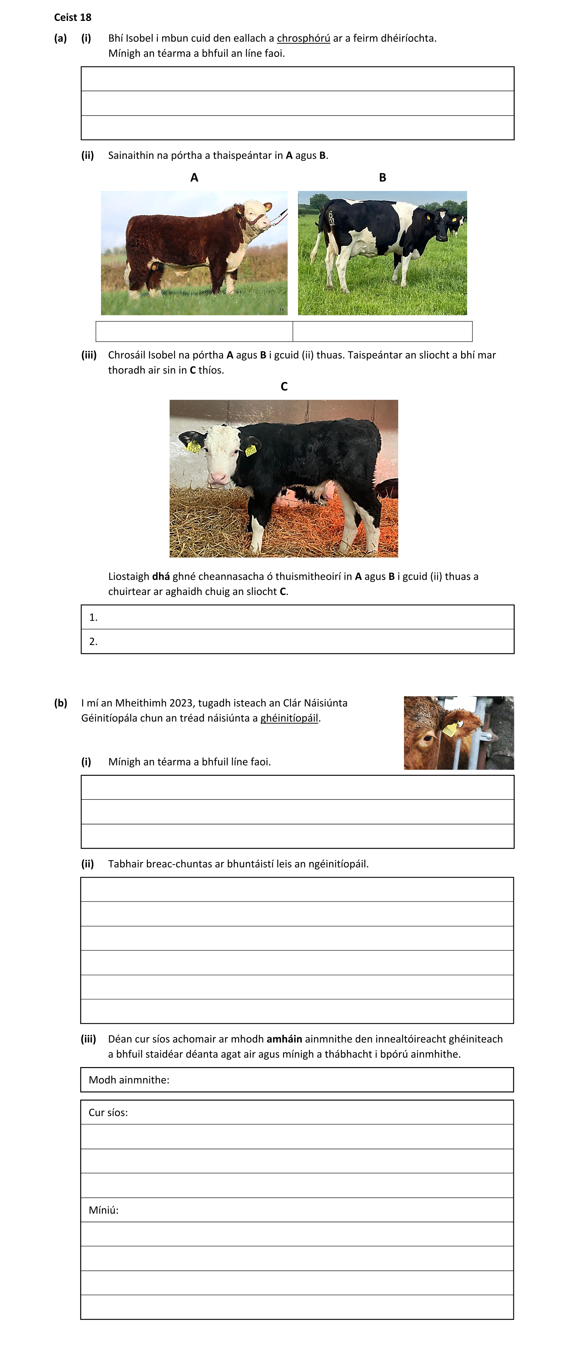 Question 6bc868d8-04ec-44f6-a9c1-088afe199766