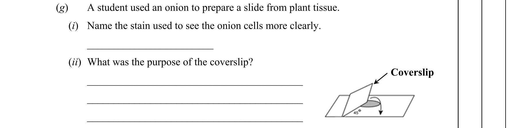 Question 48c58df8-3b0c-4dc3-a996-df3e438f9d94