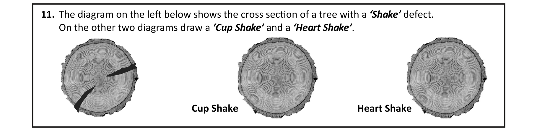 Question 76483189-068b-44da-94ec-d35ea9946e3d