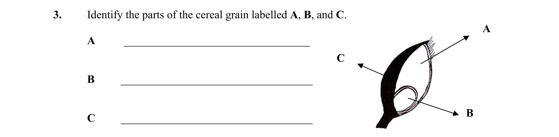 Question 8e1b2f97-7885-4e5e-b4b3-9a4daf175ddb